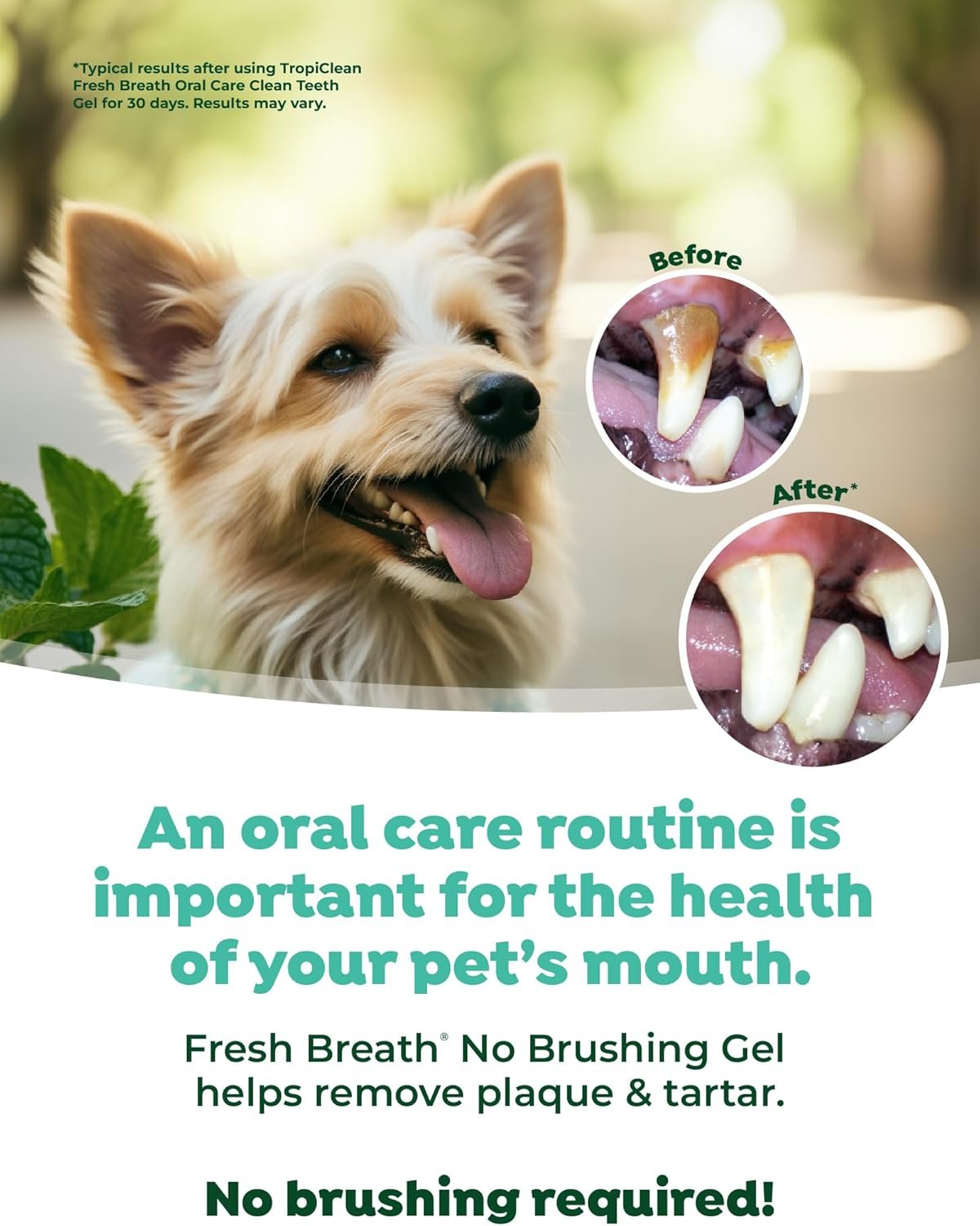 TropiClean Clean Teeth Gel for Dogs | Dog Dental Care | Dog Toothpaste | Breath Freshener | Easy Teeth Cleaning | Made in The USA | 2 oz. - Image 6