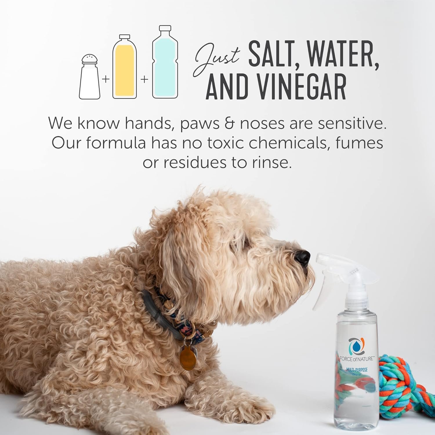 Force of Nature Multi-Purpose Cleaner, Disinfectant & Deodorizer Starter Kit - All Purpose Cleaning Spray with Reusable Bottle, 5 Refills - Eco-Friendly, Toxin-Free Cleaning Supplies - Image 4