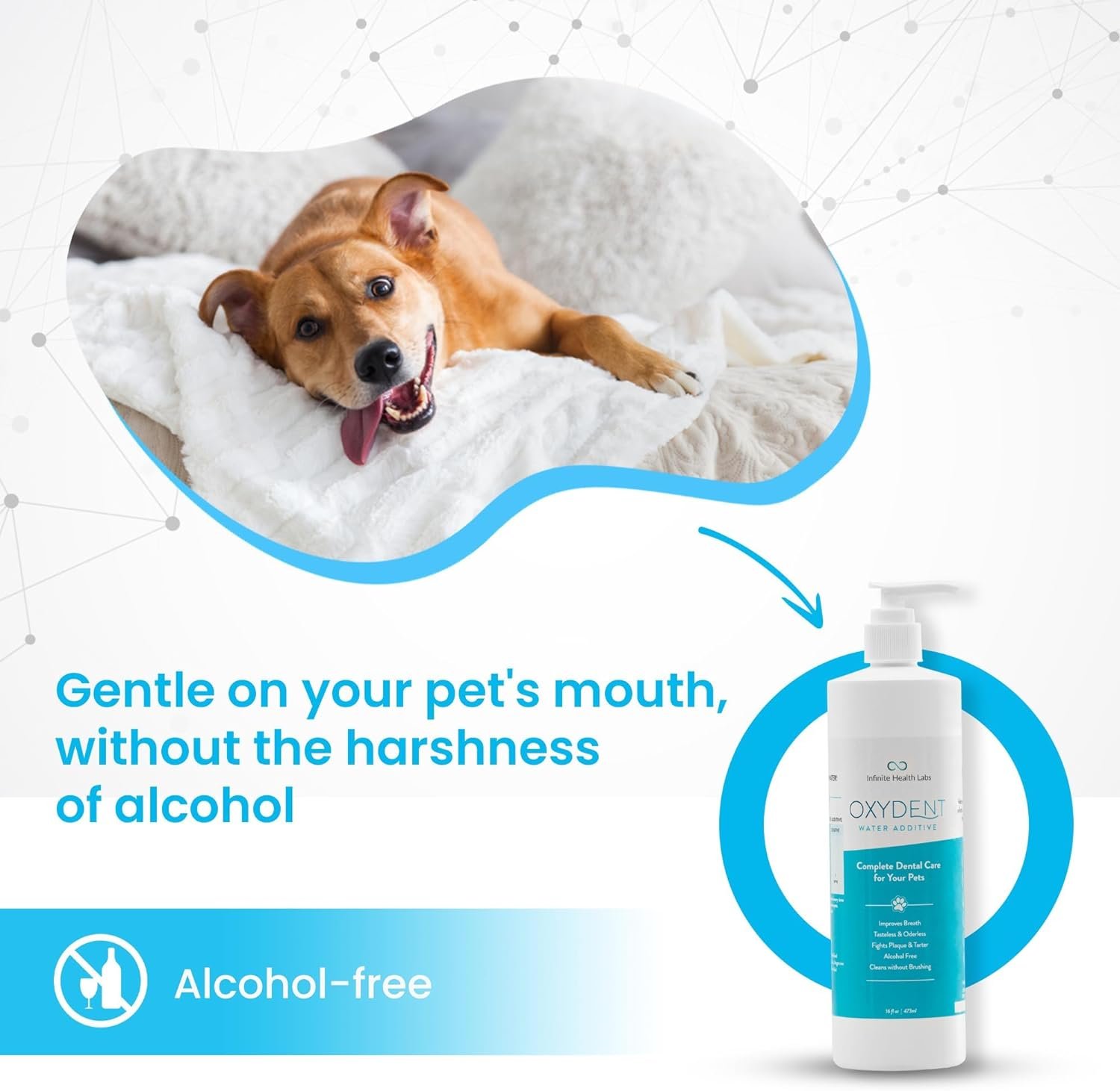 Oxydent Premium Pet Dental Care Solution - Pet Water Additive & Mouthwash for Teeth Cleaning - Eliminate Bad Dog & Cat Bad Breath - Dog Dental Rinse - Fights Tartar & Plaque - Image 6