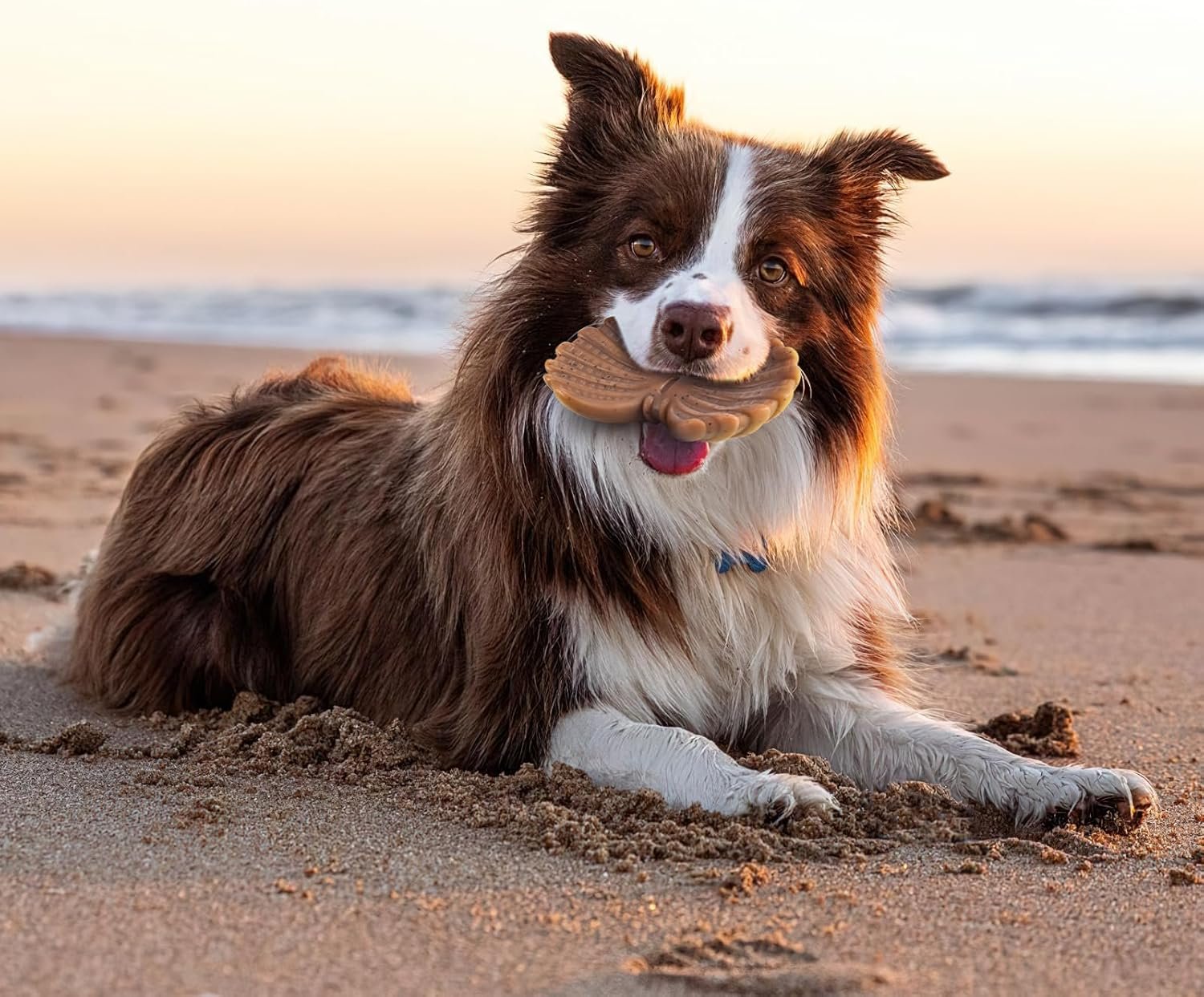 NEZIN Dog Chew Toys for Aggressive Chewers, 4 Pack Indestructible Dog Toys with Tough Nylon, Chew Toy Gift for Dogs of All Breed Sizes - Image 8