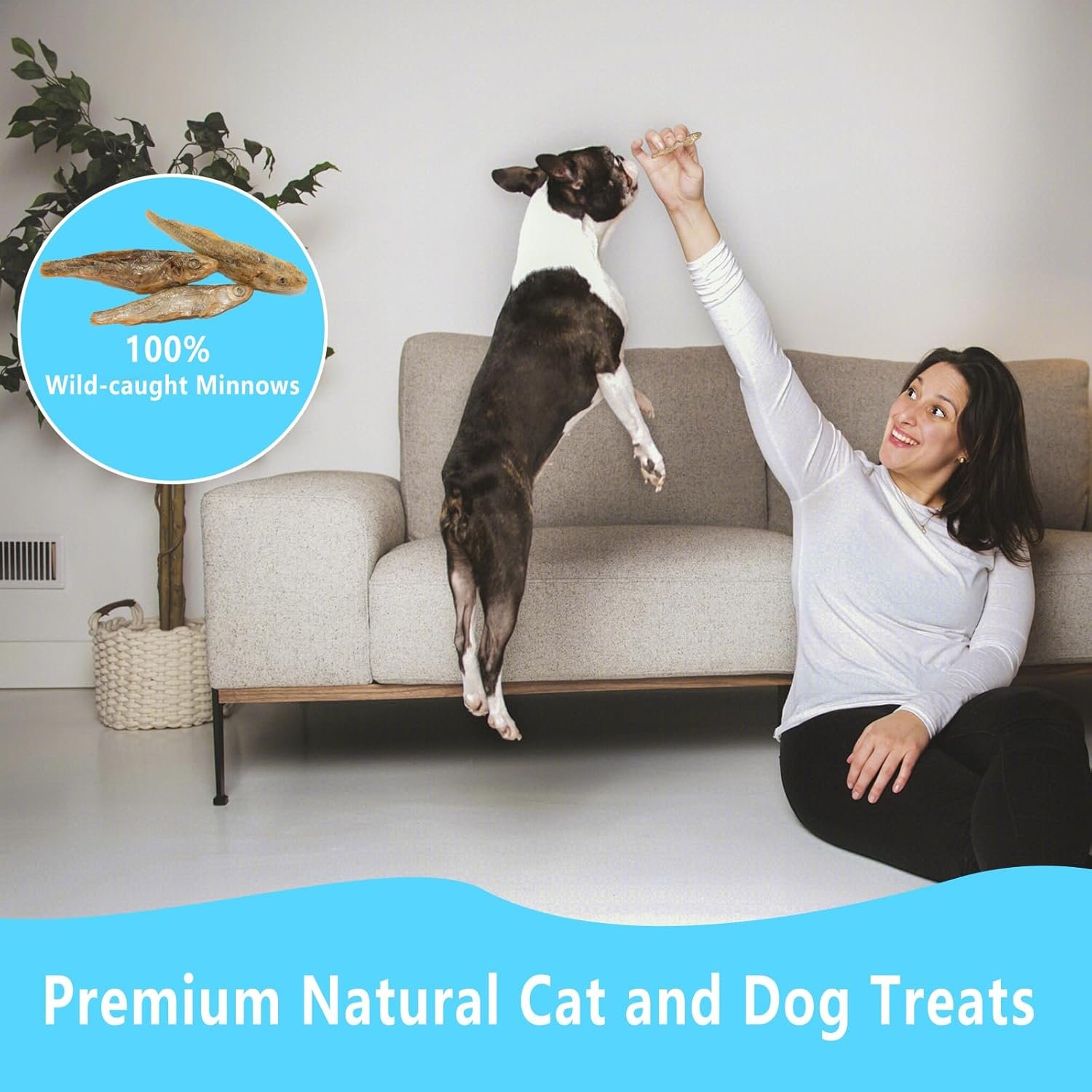 Minnows - 8.5 oz Freeze Dried - 100% Natural Premium Cat Treat, Dog Treat - Freeze Dried Minnows for Cats - Freeze Dried Minnows for Dogs (8.5 OZ) - Image 4