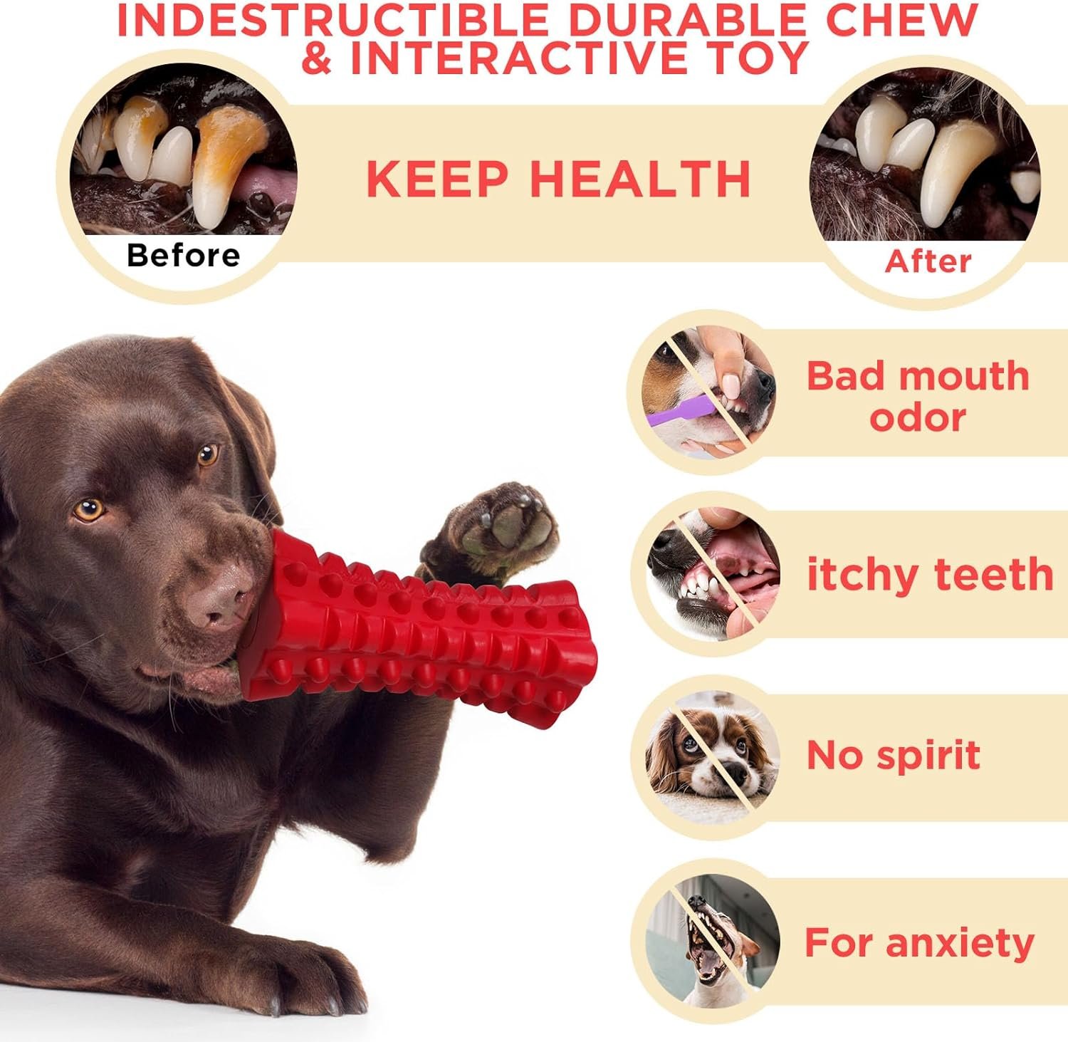 VANFINE Tough Squeaky Dog Toys for Aggressive Chewers - Dog Chew Toys for Aggressive Chewers Large Breed Stick - Durable Dog Toys for Aggressive Chewers Non-Toxic Natural Rubber Beef Flavor (Red) - Image 7
