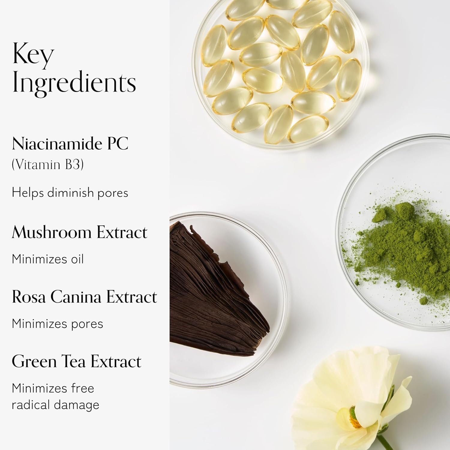 Bliss Niacinamide Disappearing Act Face Serum + Glow Rush Luminous Moisturizer: Daily Pore Minimizer & Brightening Moisturizer for Radiant Skin - Image 5