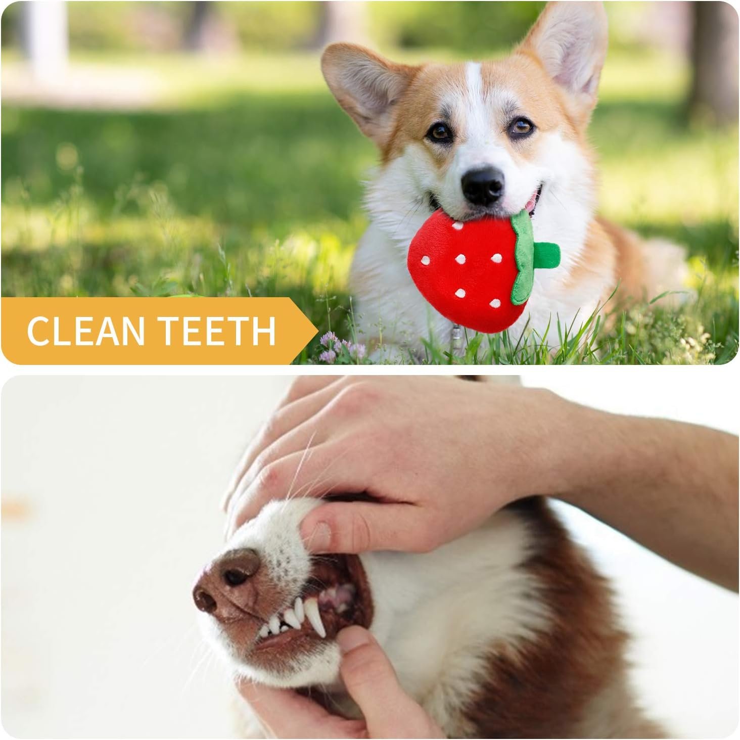 Toozey 12 Pack Puppy Teething Toys for Small Dogs - Plush Squeaky & Rope Chew Set Bundle, Safe Durable and Non-Toxic for Interactive Play and Dental Health - Image 6