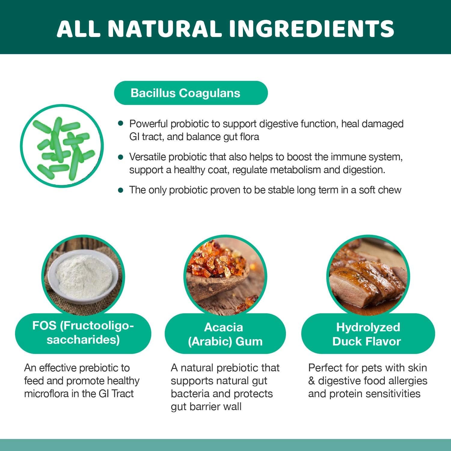 Wellnergy Daily Probiotic & Prebiotics Soft Chew for Dogs & Cats - Digestive Support for Diarrhea, Constipation, Upset Stomach, Indigestion & Gas - Helps Digestion, Allergy Skin & Immune Health 160ct - Image 7