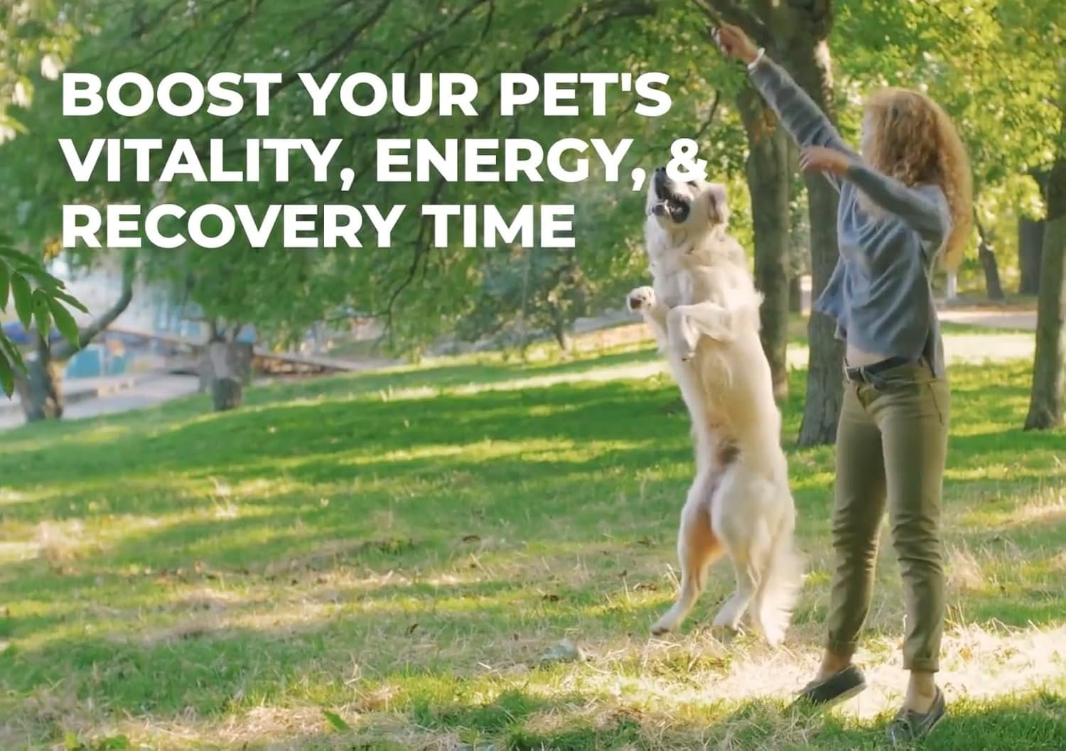 Superfood Rich in Antioxidants, Multivitamins, Minerals, Prebiotics, Skin & Immune Health - Excellent for Seniors, Active Dogs & Puppies - Image 8