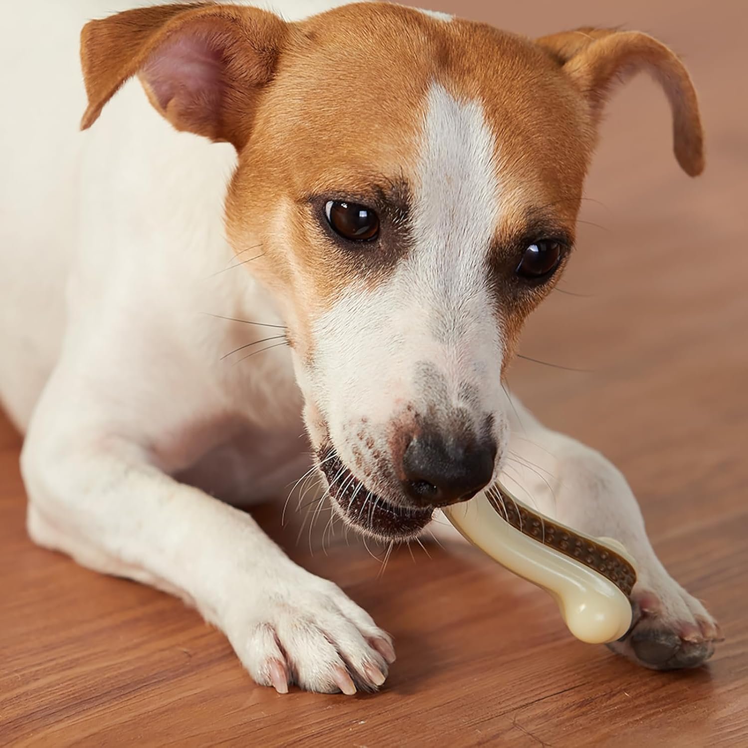 Dog Chew Toys for Aggressive Chewers, 2 Pack Beef Flavor Tough Dog Bones for Large/Medium Breed Dogs, Nylon Dog Toys for Teething and Training - Image 4