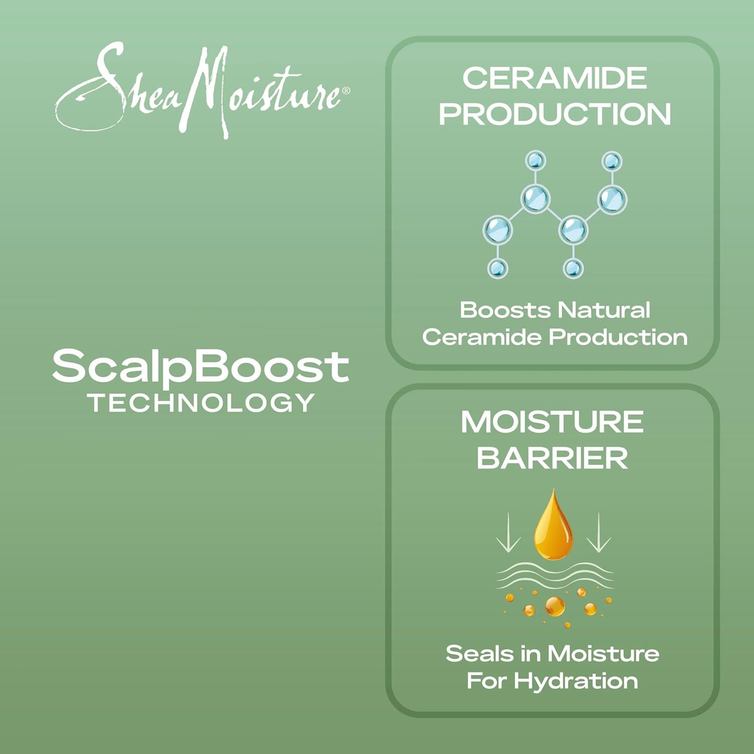 SheaMoisture Strengthening Scalp & Hair Oil Rosemary & Vegan Collagen to Promote Length Retention & Invigorate the Scalp, with ScalpBoost Technology, 2 oz - Image 5