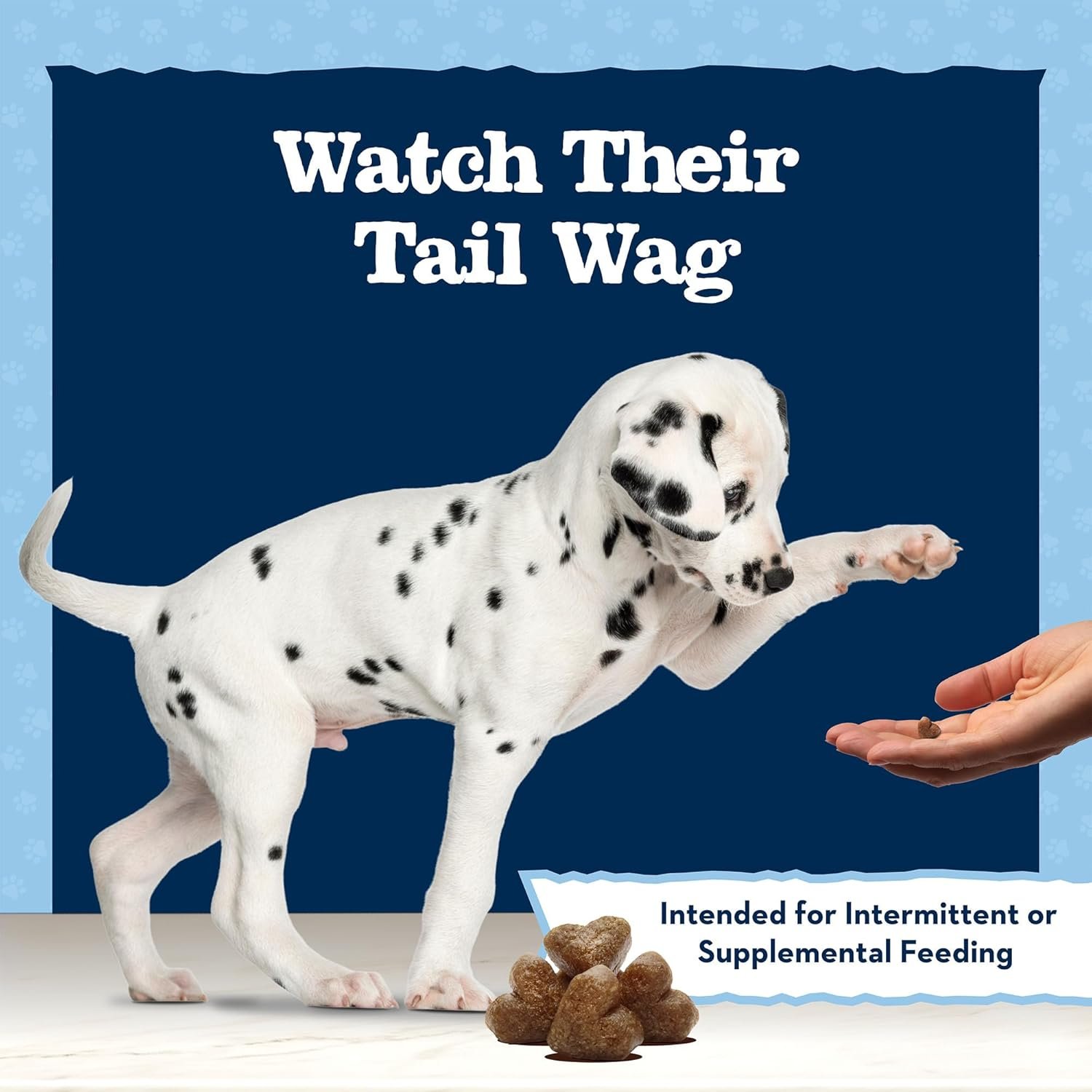 Blue Buffalo Baby BLUE Training Treats Natural Puppy Soft Dog Treats, Savory Chicken 4-oz Bag - Image 9