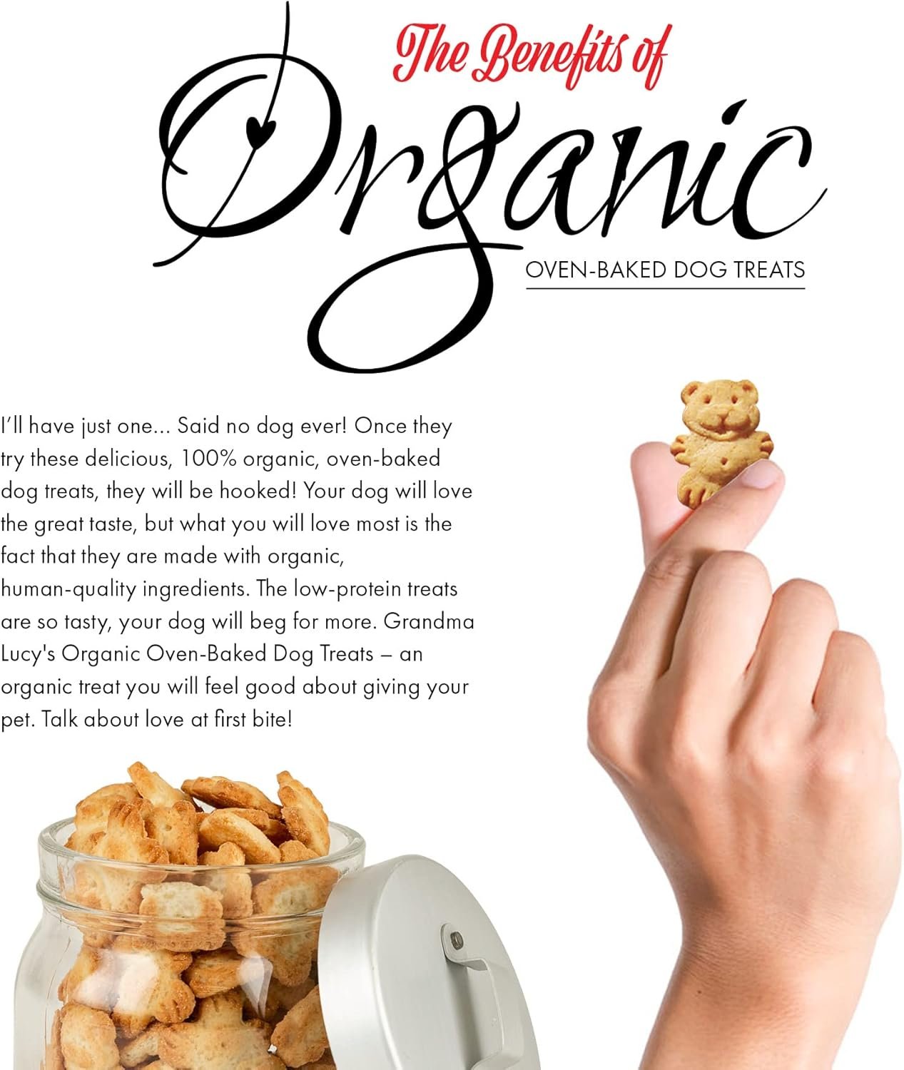Grandma Lucy's Organic Oven Baked Dog Treats - Blueberry, 14 oz - Image 5