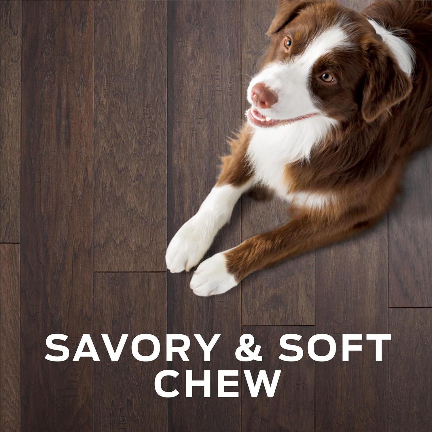 Purina Pro Plan Veterinary Diets Digestive Health Bites Dog Treat Chews - 16 oz. Pouch - Image 8