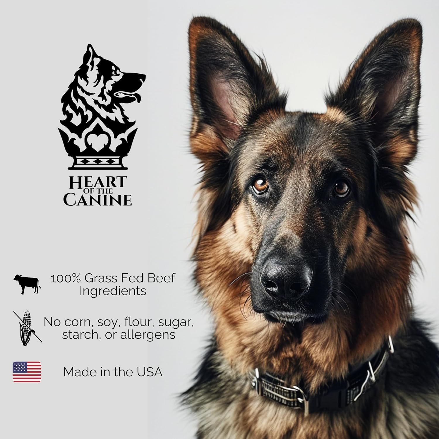 Beast & Bird (Beef and Chicken) Dog Treats - Gut and Digestion, Immune Response, Diabetic Support - Chicken, Beef Liver, Kidney, Heart, Chicken Cartilage - Heart of The Canine - 6oz - Image 5