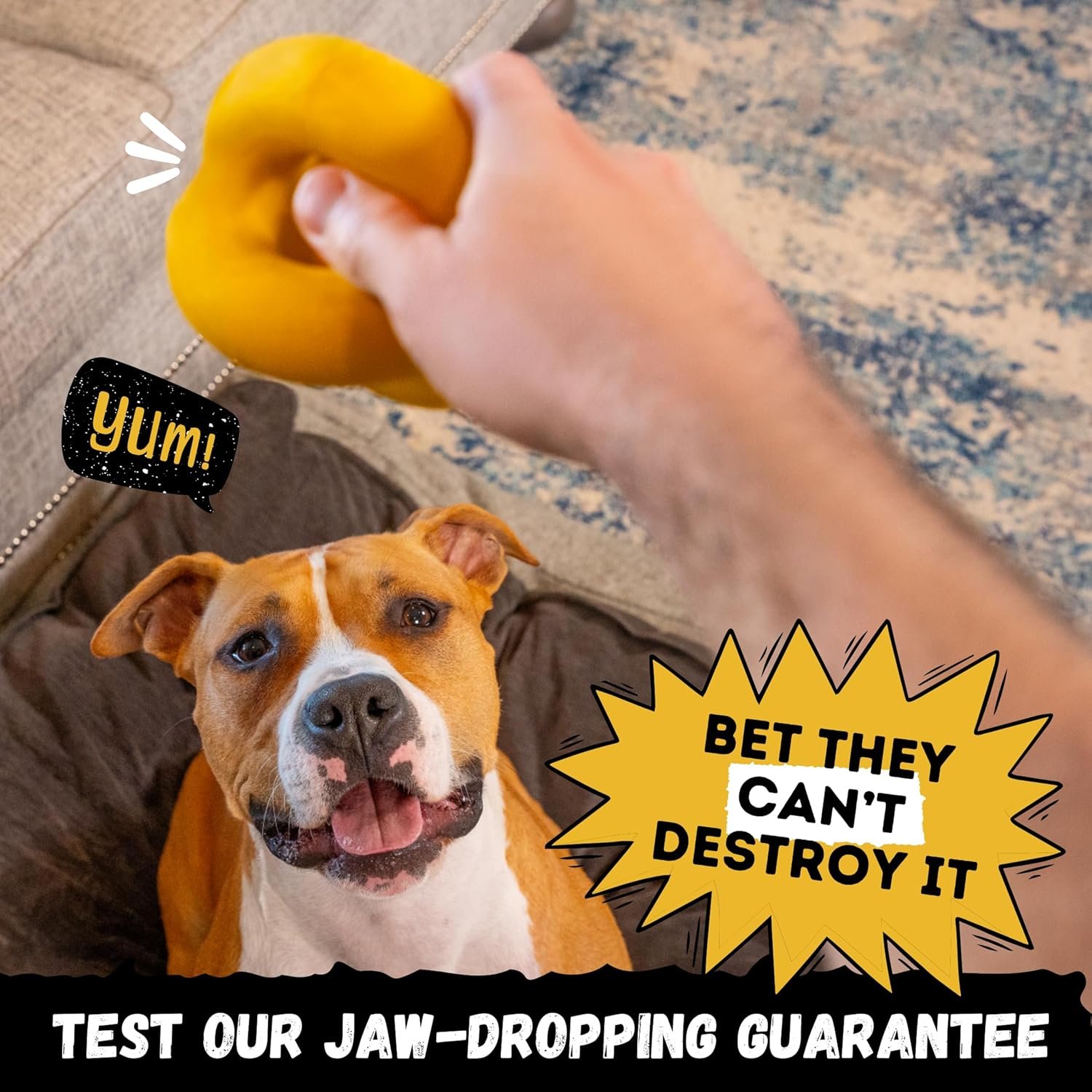 Indestructible Ring Ball - Lifetime Replacement - for Aggressive Chewers, Medium Large Breed - Non-Toxic Natural Rubber Dog Toys - Butter Scent, Yellow (Highly Visible Color for Dogs) - 4.5” - Image 5
