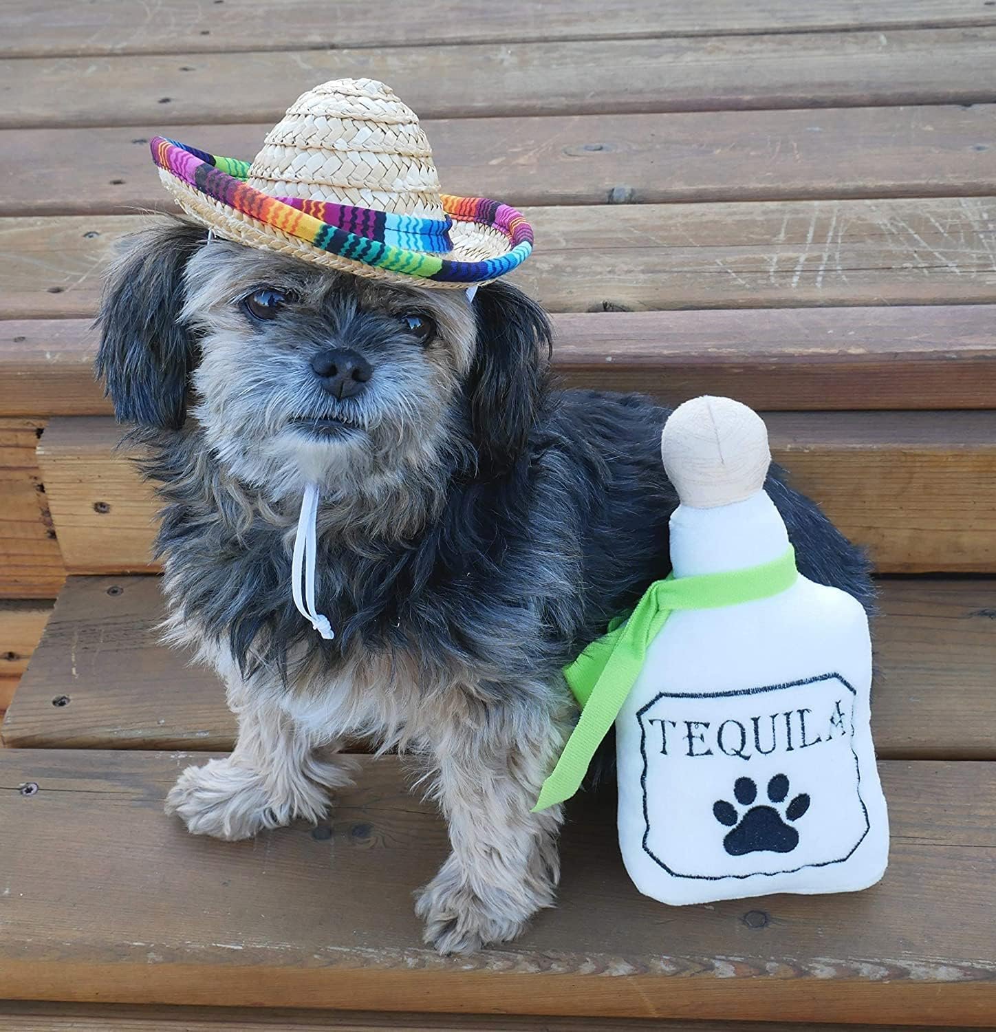 4 Pack Fiesta Dog Chew Toys and Sombrero - Mexican Squeak Plush Toys - Dog Gifts for Chihuahuas - Taco - Tequila - Hot Sauce - for All Breeds - Image 6