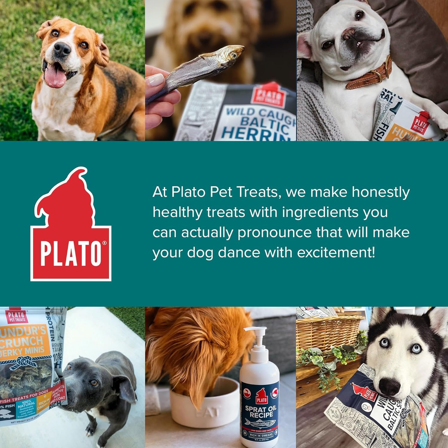PLATO Pet Treats Fish Dog Treats - Air-Dried, Single Ingredient Dog Treat - with Omega 3 & 6 Fatty Acids to Support Skin and Coat - 100% Whole Fish - Wild Caught Baltic Herring Dog Treats - 3oz - Image 8