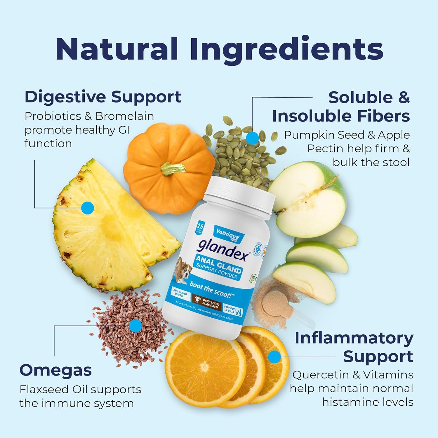 Glandex Dog Fiber Supplement Powder for Anal Glands with Pumpkin, Digestive Enzymes & Dog Probiotics for Digestive Health - Vet Recommended - Boot The Scoot (Beef Liver, 2.5oz Powder) - Image 7