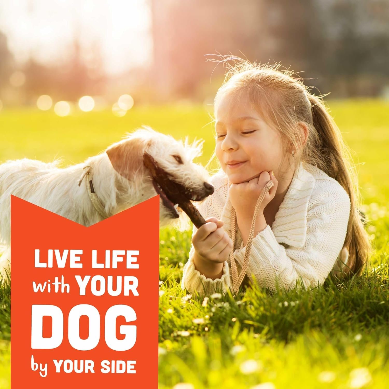 Cloud Star Corp, Wag More Bark Less Soft & Chewy Grain Free Peanut Butter & Apples Dog Treats - Image 8