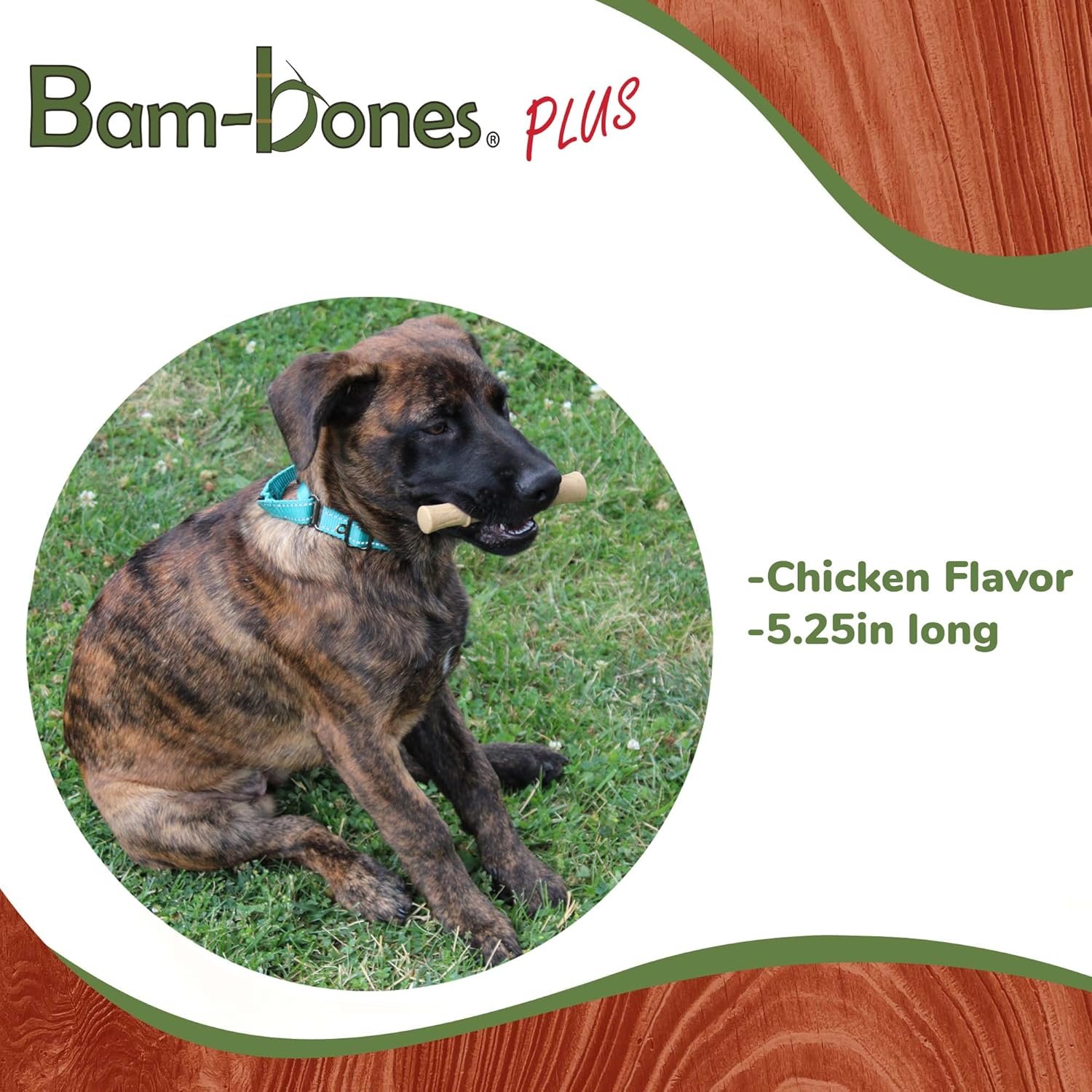 SPOT Bam-bones PLUS Bamboo Stick – Bamboo Fiber & Nylon, Durable Long Lasting Dog Chew for Aggressive Chewers – Great Toy for Adult Dogs & Puppies under 60lbs, Non-Splintering, 5.25in, Chicken Flavor - Image 6