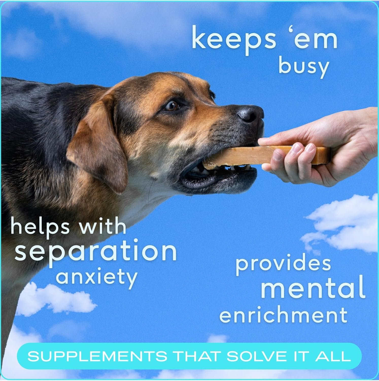 Native Pet Yak Chews (5 Small Chews) - Yak Milk Chews for Puppies & Small Dogs - Puppy Chews for Teething - Puppy Teething Toys - Puppy Yak Chews for Teething - Yak Bones for Puppies - Dog Treats - Image 4