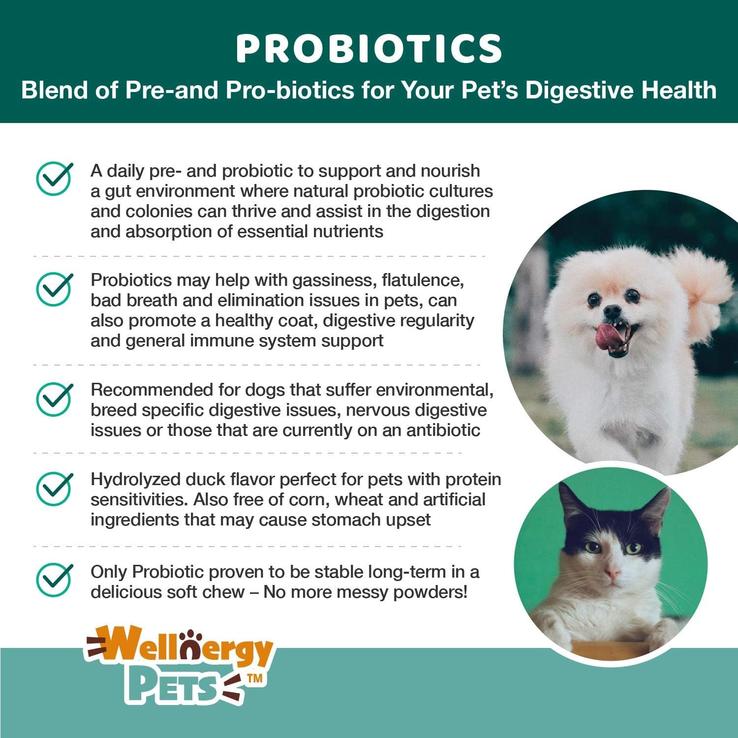 Wellnergy Daily Probiotic & Prebiotics Soft Chew for Dogs & Cats - Digestive Support for Diarrhea, Constipation, Upset Stomach, Indigestion & Gas - Helps Digestion, Allergy Skin & Immune Health 160ct - Image 6