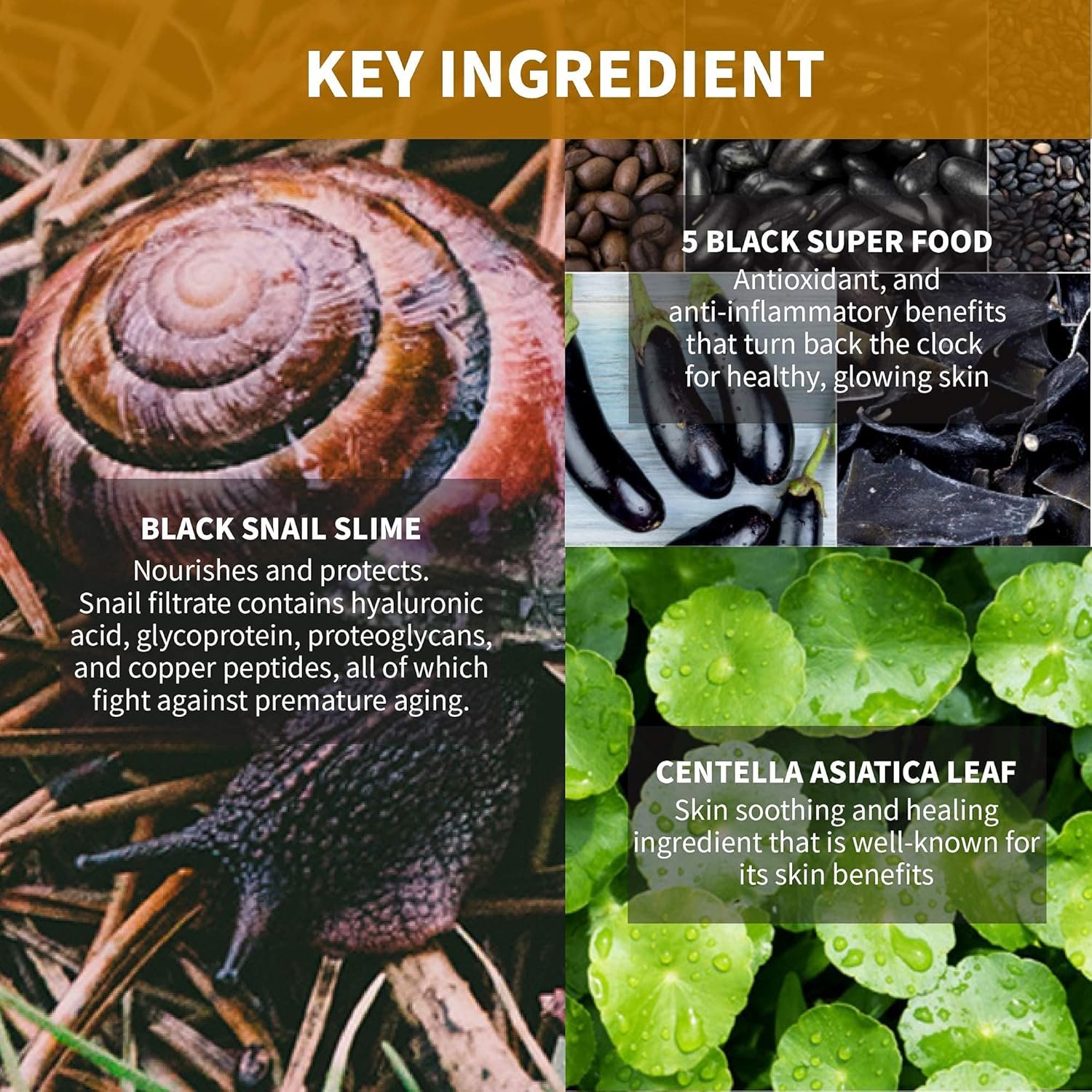 iUNIK Black Snail Restore Serum Repair Ampoule, 1.71 Fl Oz + iUNIK Black Snail Restore Cream, 2.02 Fl Oz - Image 9