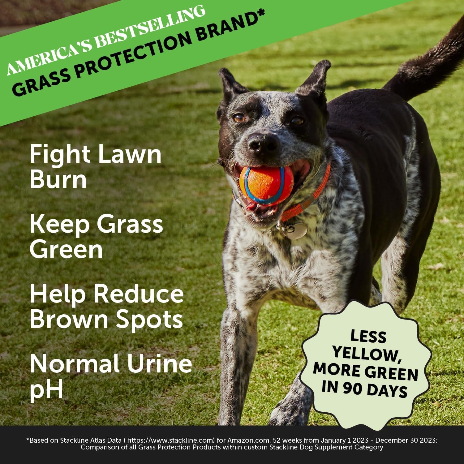 Pet Honesty Grass Green - Pee Grass Spot Saver Caused by Dog Urine, Gut Health Probiotics, Dog Urine Neutralizer for Lawn, Grass Burn Spot Chews, Cranberry, Apple Cider Vinegar, Dog Rocks (Duck 90 ct) - Image 3