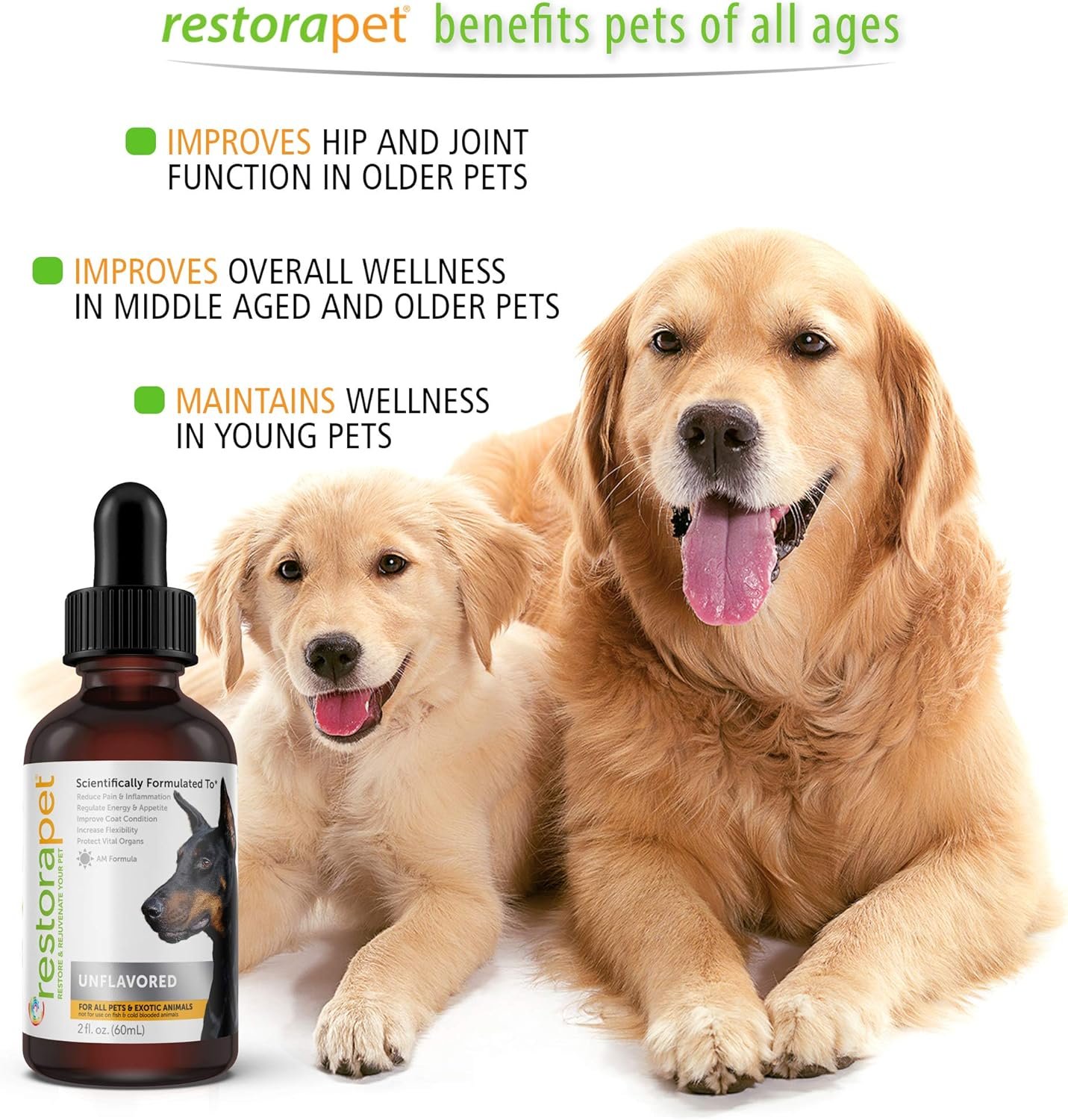 RestoraPet 1-Pack Dog & Cat Beef Liquid Multivitamin | Dog Arthritis Pain Relief | Hip & Joint Vitamins for Dogs - Anti Inflammatory Supplement for Dogs & Cats | Organic & Non-GMO, Vet Approved - Image 6