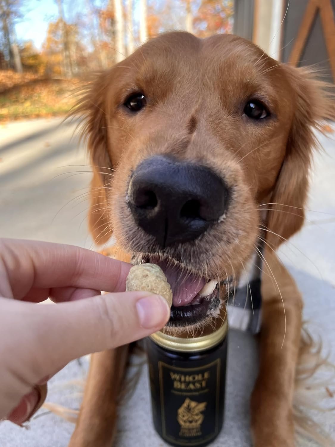 Beast & Bird (Beef and Chicken) Dog Treats - Gut and Digestion, Immune Response, Diabetic Support - Chicken, Beef Liver, Kidney, Heart, Chicken Cartilage - Heart of The Canine - 6oz - Image 7