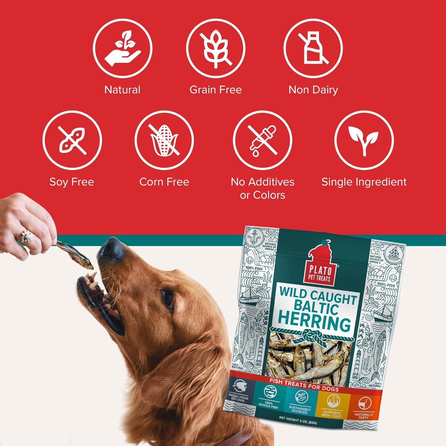 PLATO Pet Treats Fish Dog Treats - Air-Dried, Single Ingredient Dog Treat - with Omega 3 & 6 Fatty Acids to Support Skin and Coat - 100% Whole Fish - Wild Caught Baltic Herring Dog Treats - 3oz - Image 7