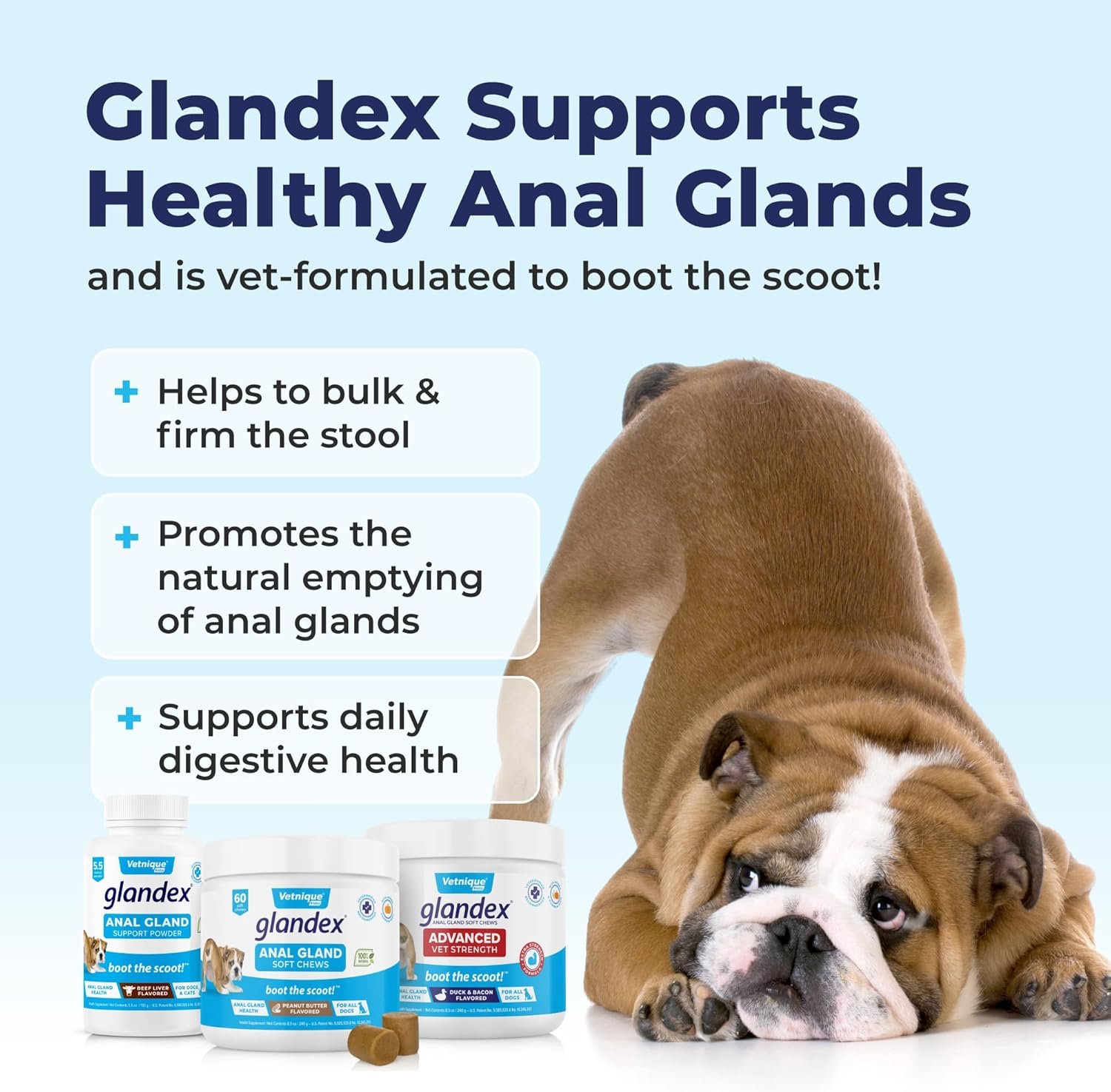Glandex Dog Fiber Supplement Powder for Anal Glands with Pumpkin, Digestive Enzymes & Dog Probiotics for Digestive Health - Vet Recommended - Boot The Scoot (Beef Liver, 2.5oz Powder) - Image 5