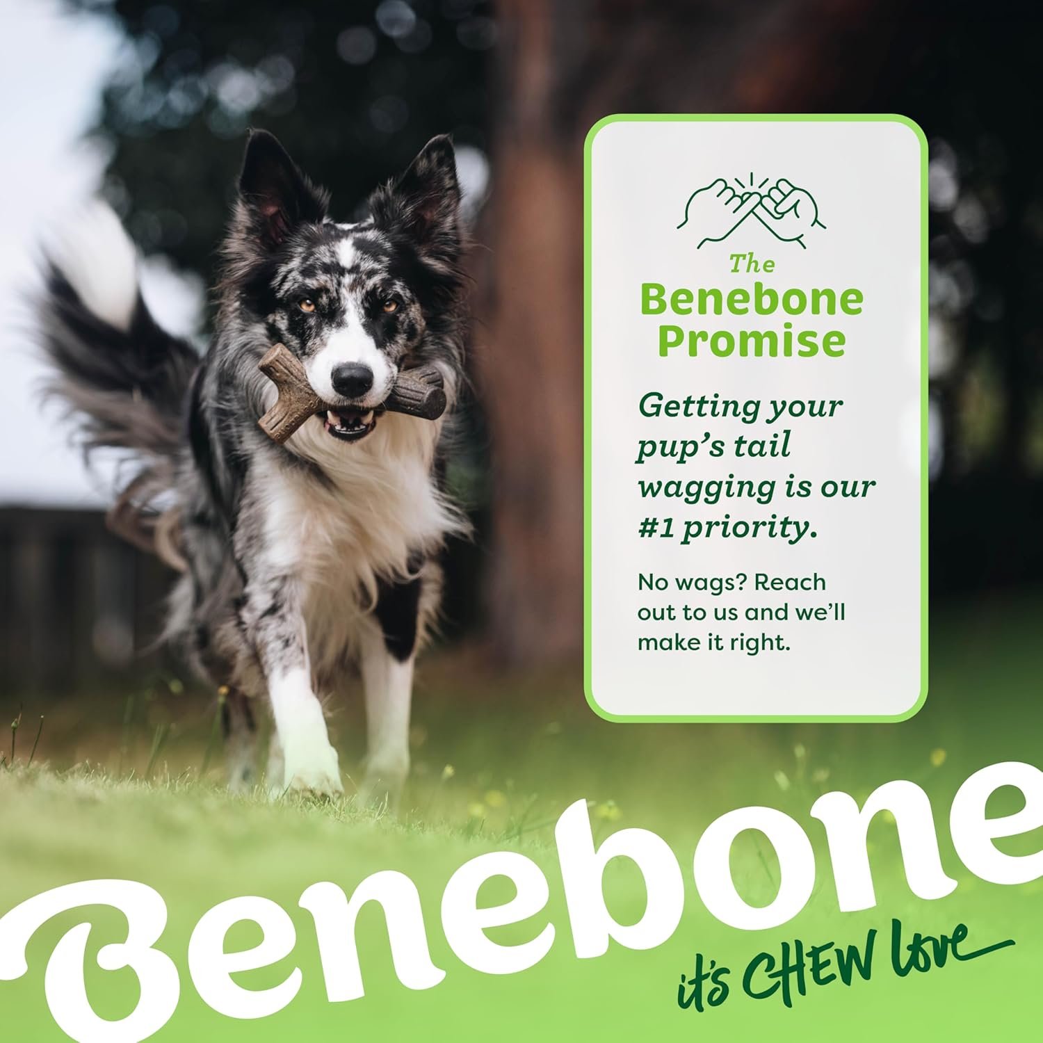 Benebone Bacon Stick Durable Dog Chew Toy for Aggressive Chewers, Real Bacon, Made in USA, Medium - Image 8