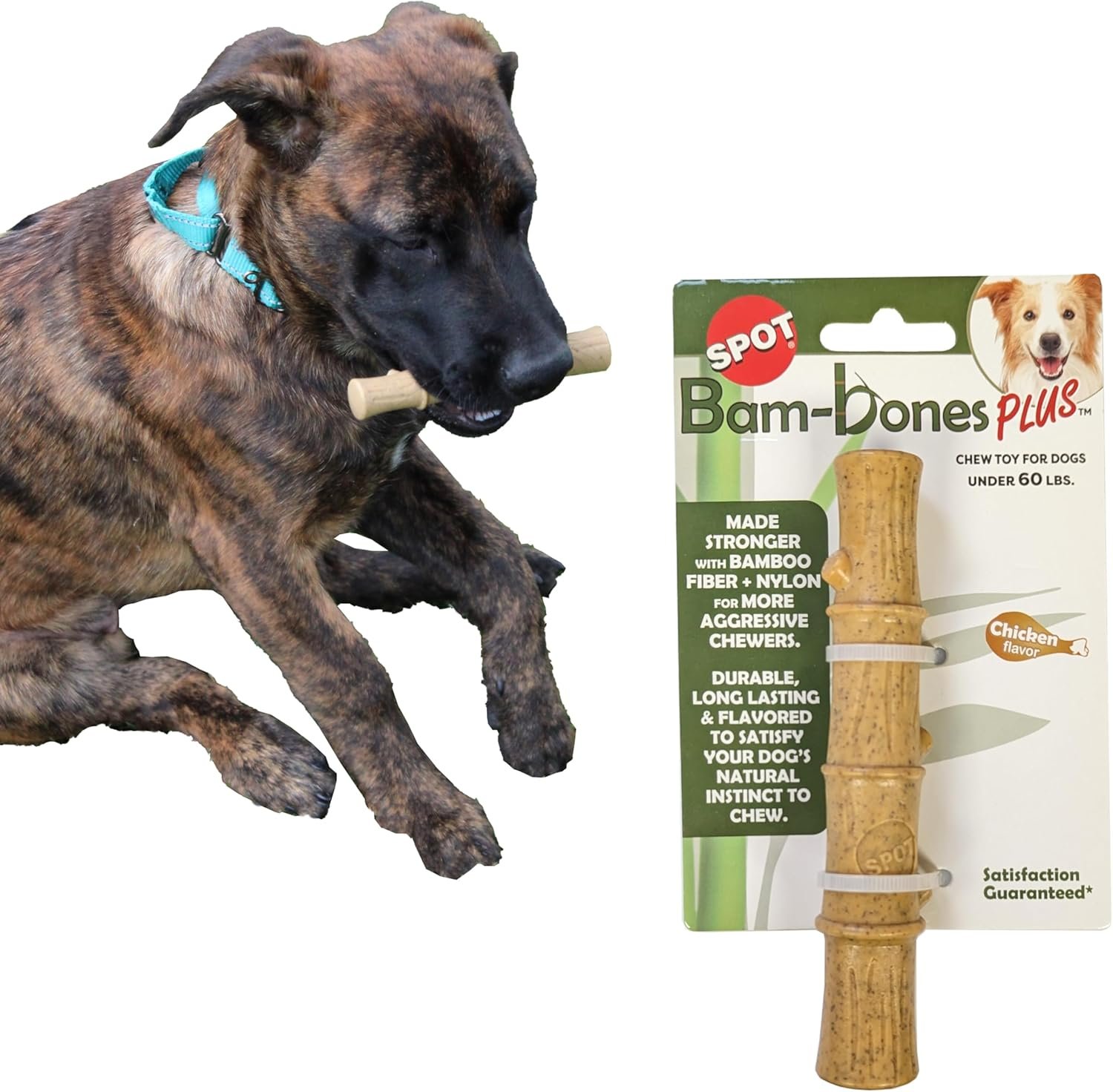 SPOT Bam-bones PLUS Bamboo Stick – Bamboo Fiber & Nylon, Durable Long Lasting Dog Chew for Aggressive Chewers – Great Toy for Adult Dogs & Puppies under 60lbs, Non-Splintering, 5.25in, Chicken Flavor - Image 2