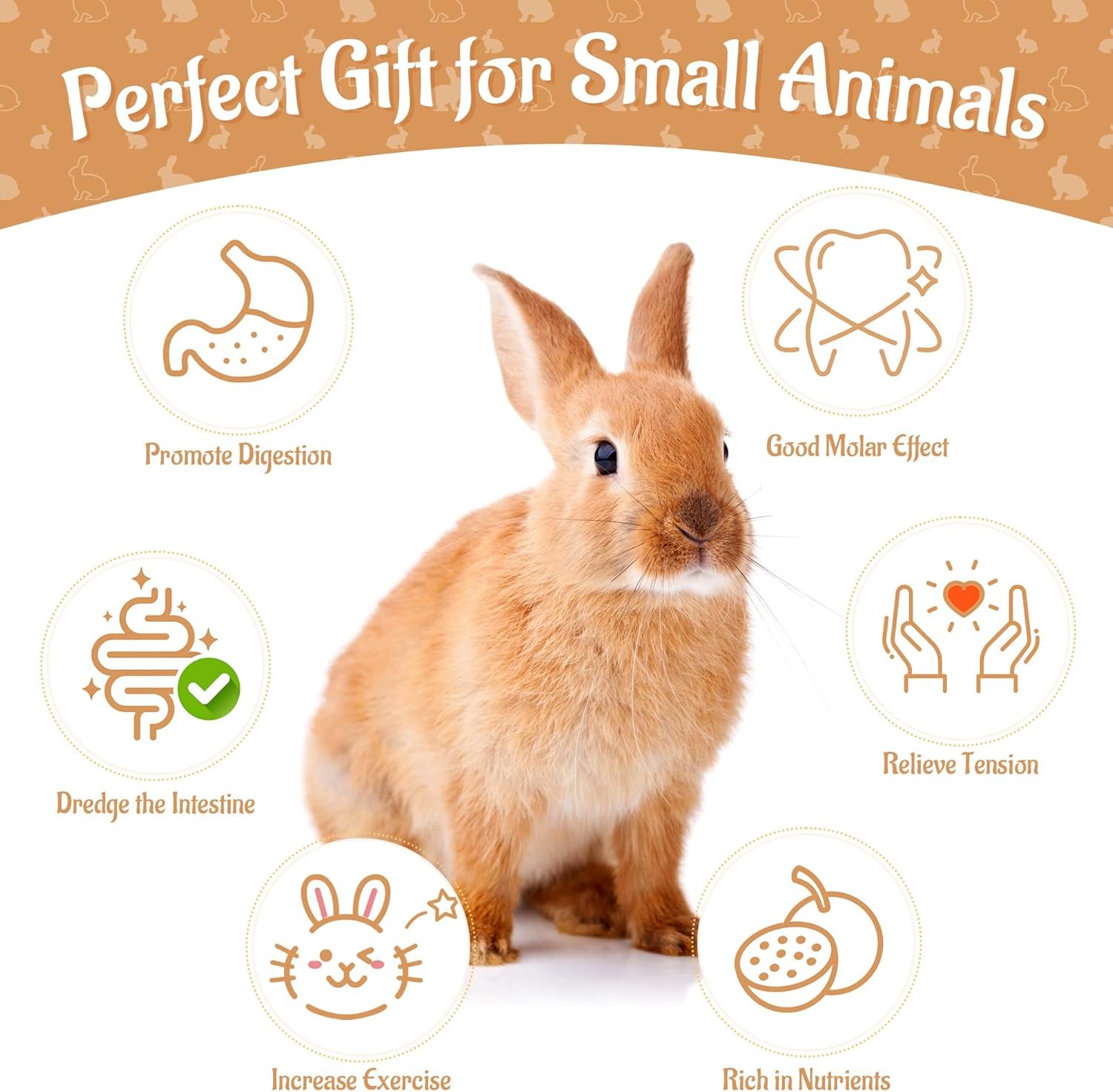 Rabbit Chew Toys for Teeth, Bunny Cage Hanging Chew Toys and Treats for Rabbits, Rattan Ring with Snacks for Guinea Pigs Hamsters Chinchillas Rats Gerbils and Other Small Pets Teeth Grinding - Image 6