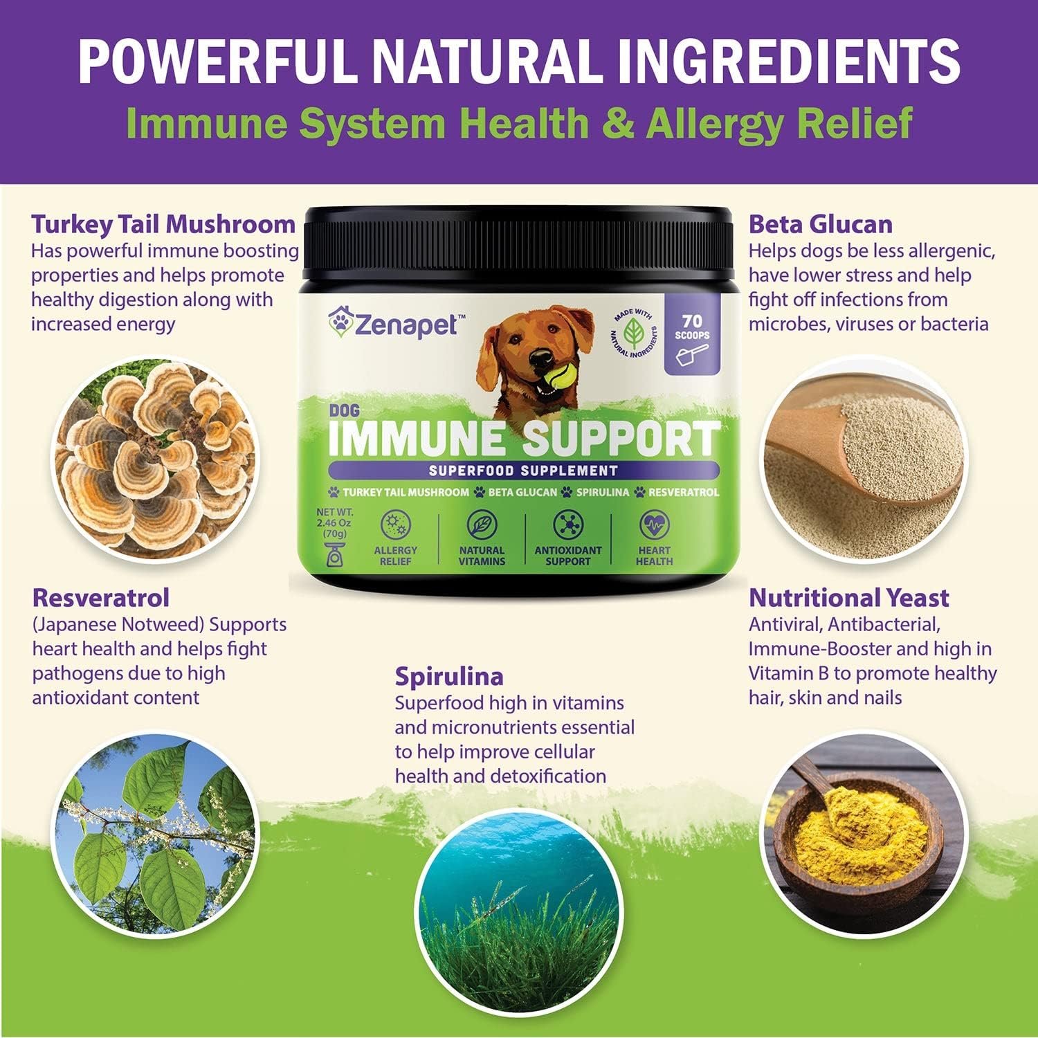 ZENAPET Allergy Immune Support Supplement for Dogs, Superfood 100% Human-Grade with Turkey Tail Mushroom, Prebiotics for Gut Health, Itchy Skin, Seasonal Allergies & Yeast - for Small to Large Breeds - Image 4
