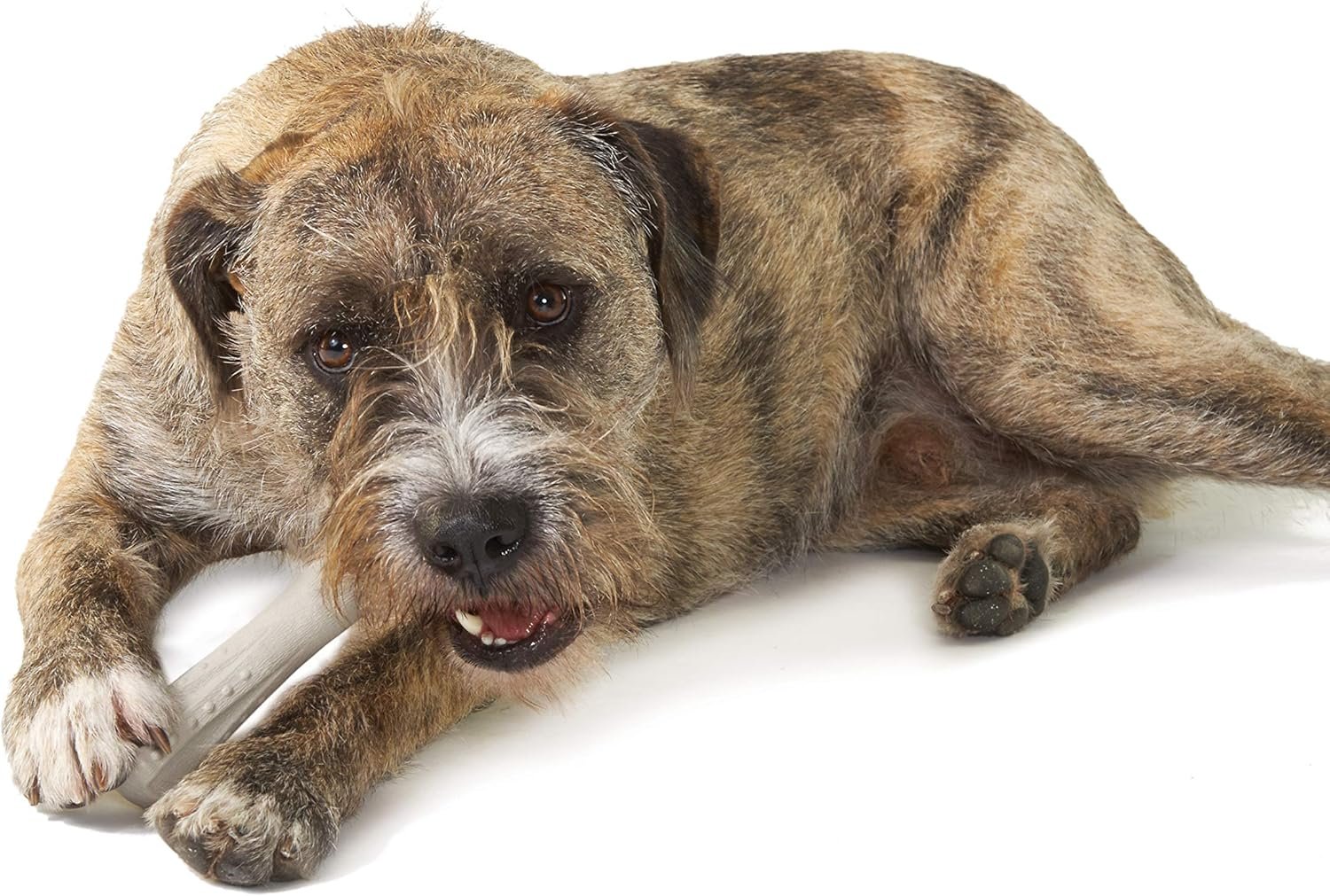 Petstages Deerhorn Antler Alternative Dog Chew Toy, Medium - Image 8