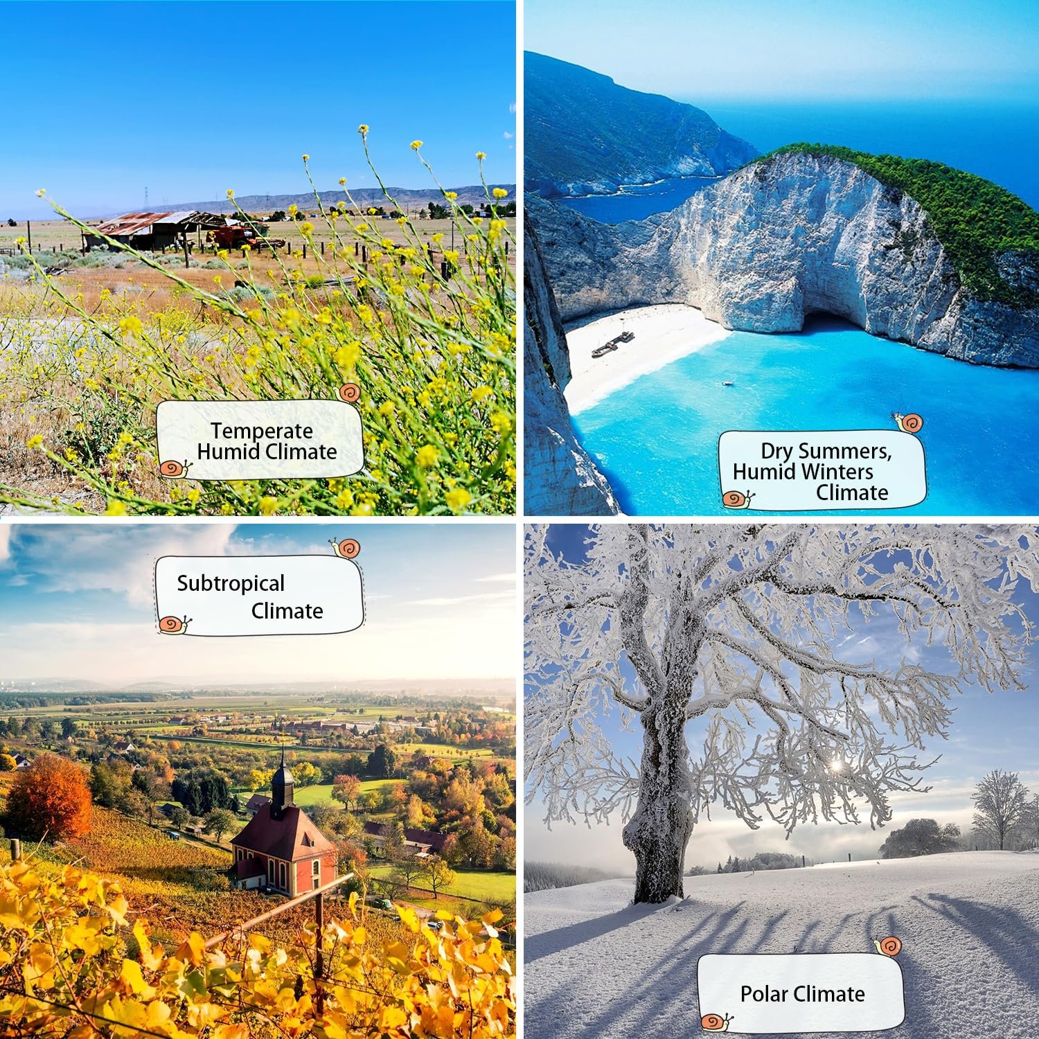 97% Snail Mucin Face Serum Power Repairing Essence, Snail Mucin, Hydrating Moisturizes skin for Dull Skin & Fine Lines."Enhances skin adaptability to various climates.""Distinct New Creations" - Image 3