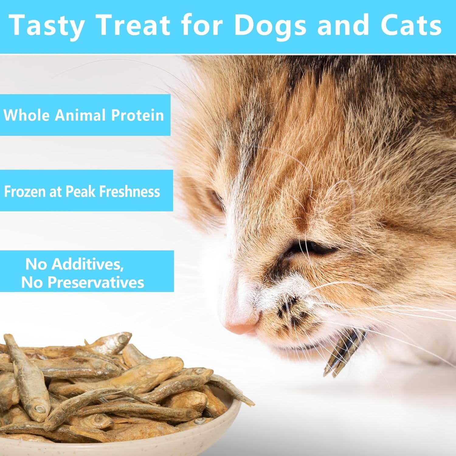 Minnows - 8.5 oz Freeze Dried - 100% Natural Premium Cat Treat, Dog Treat - Freeze Dried Minnows for Cats - Freeze Dried Minnows for Dogs (8.5 OZ) - Image 5