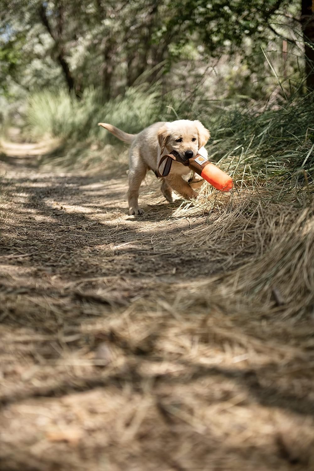 Carhartt Pet Toys, Training Fetch and Chew - Image 5