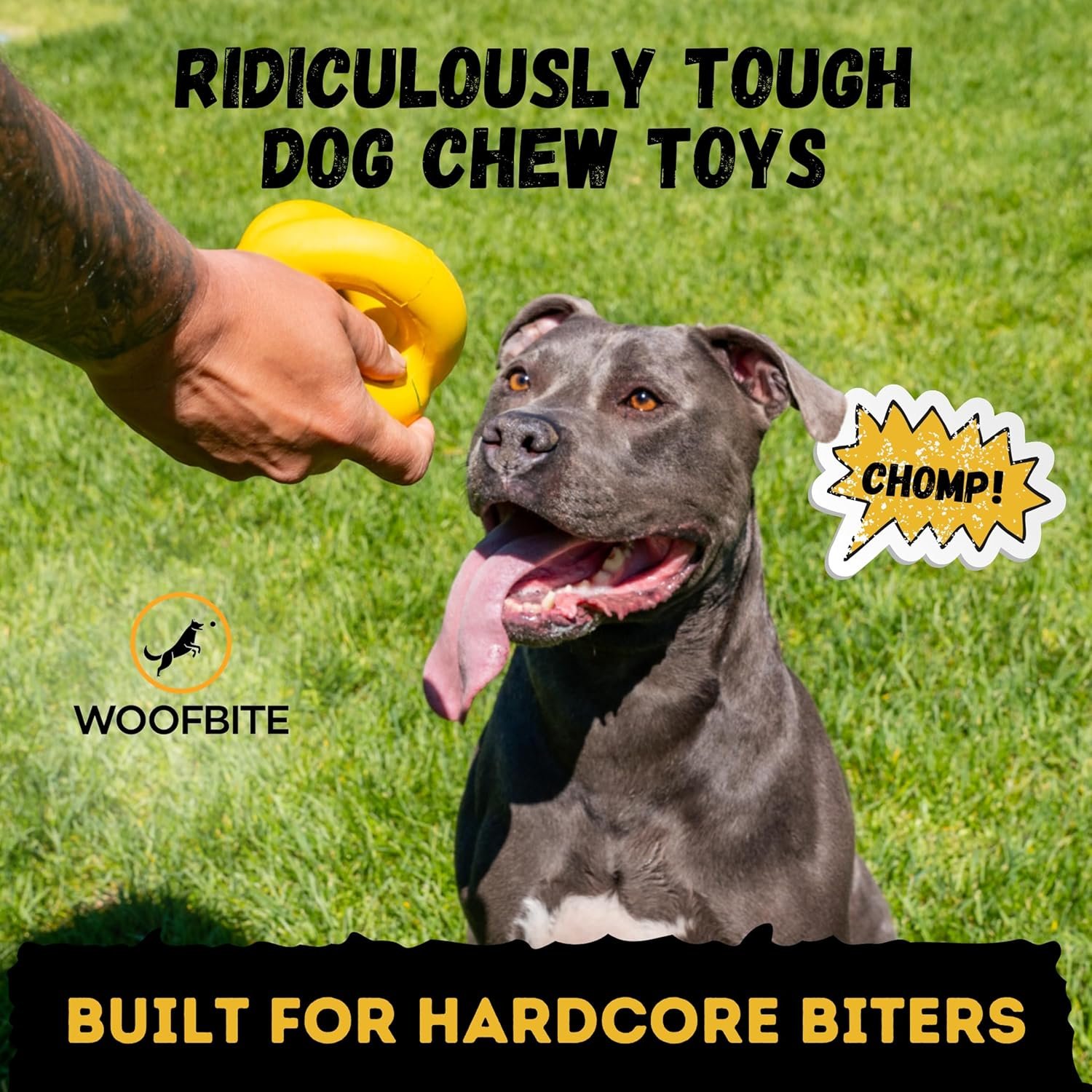 Indestructible Ring Ball - Lifetime Replacement - for Aggressive Chewers, Medium Large Breed - Non-Toxic Natural Rubber Dog Toys - Butter Scent, Yellow (Highly Visible Color for Dogs) - 4.5” - Image 3