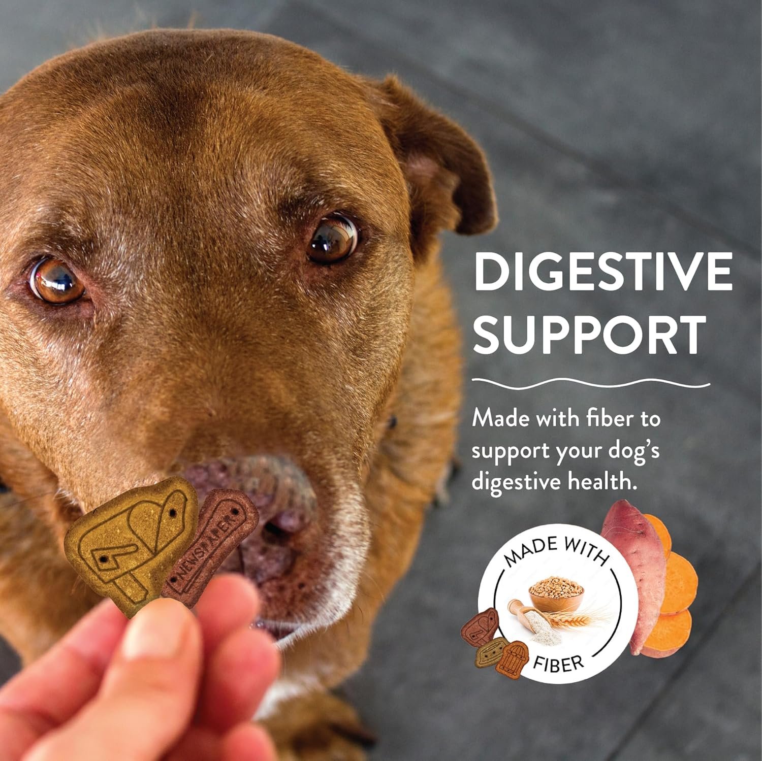 Shameless Pets Crunchy Dog Treats - Party Mix Variety, 10oz - Healthy Dog Biscuits & Cookies Treats for Small, Medium, and Large Dogs - Made in The USA - Free from Corn & Soy - Image 4