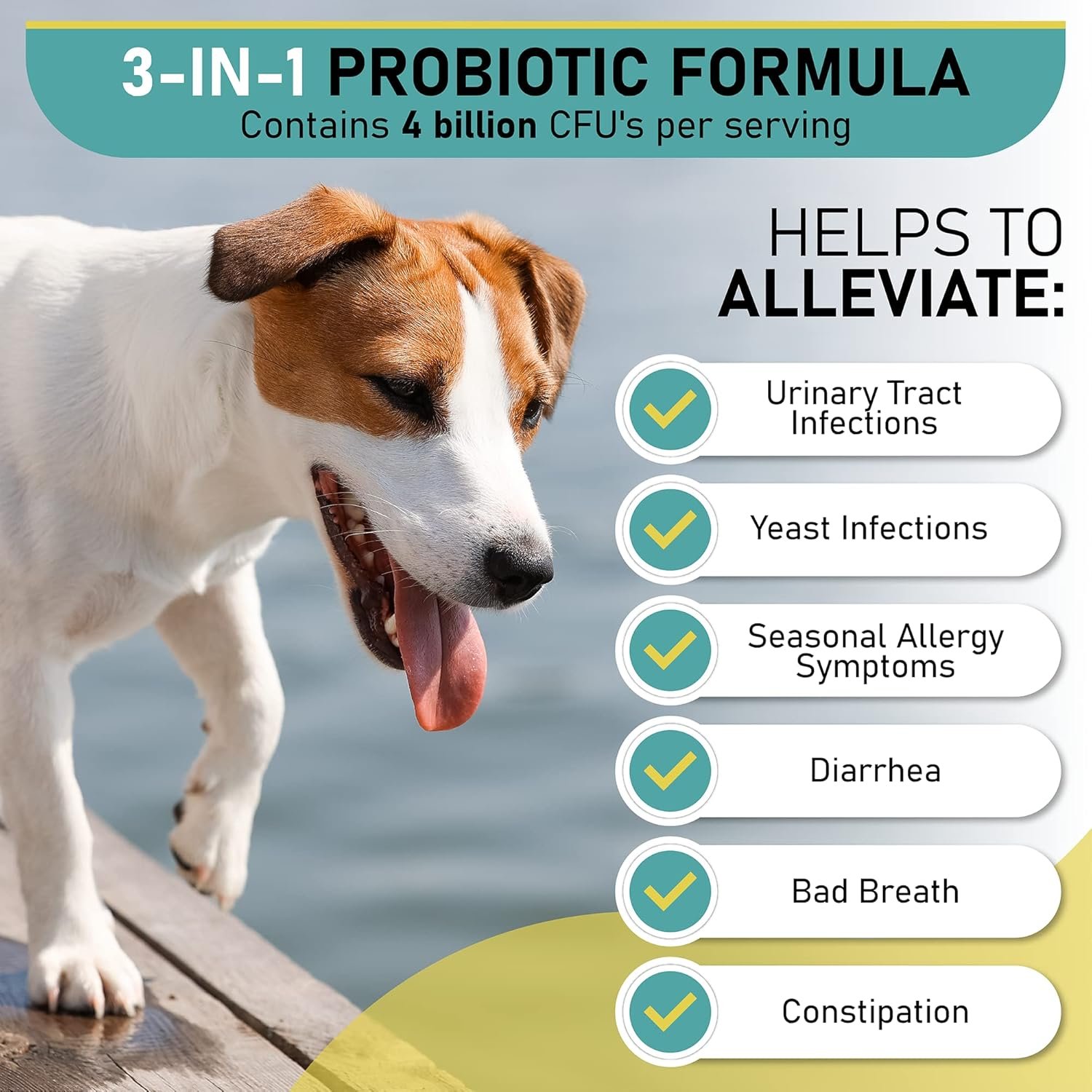 Probiotic Chews for Dogs, Support Digestive Health, Dog Probiotics and Digestive Enzymes, Dog Probiotic Chews, Probiotic Dogs, Puppy Probiotic, Pet Probiotics for Dogs - 120 Soft Chews - Image 4