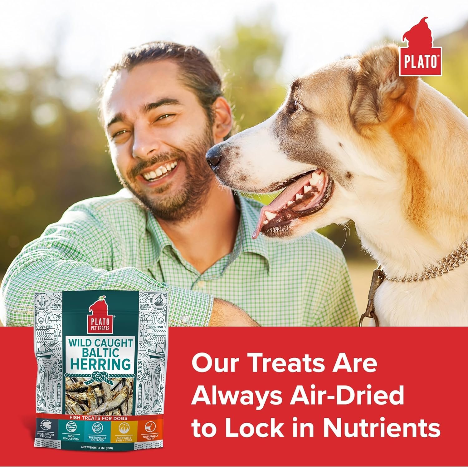 PLATO Pet Treats Fish Dog Treats - Air-Dried, Single Ingredient Dog Treat - with Omega 3 & 6 Fatty Acids to Support Skin and Coat - 100% Whole Fish - Wild Caught Baltic Herring Dog Treats - 3oz - Image 4