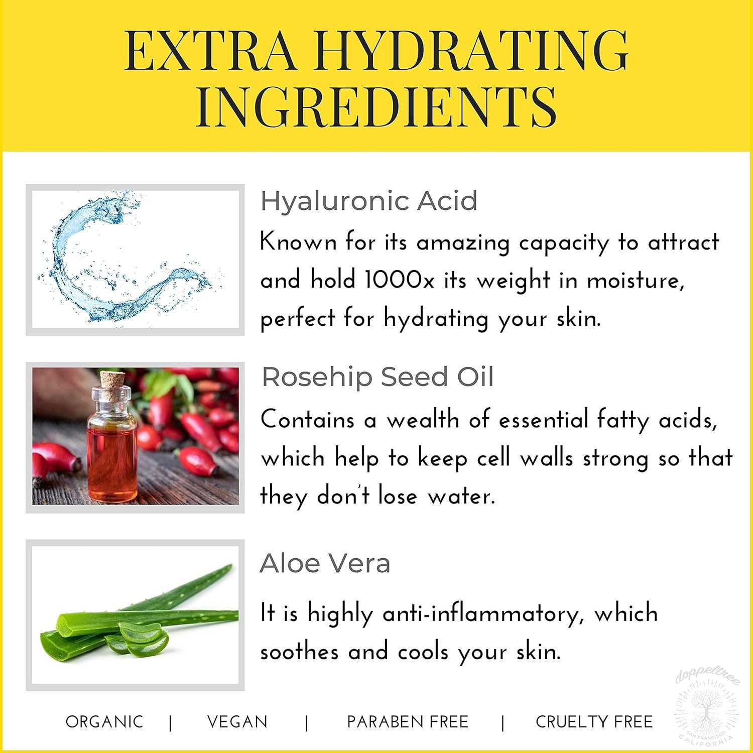 Hydrating Facial Spray Toner with Rosewater, Hyaluronic Acid, Rosehip Seed Oil and Aloe Vera - Mist for Face by Doppeltree - Formulated in San Francisco - Image 5