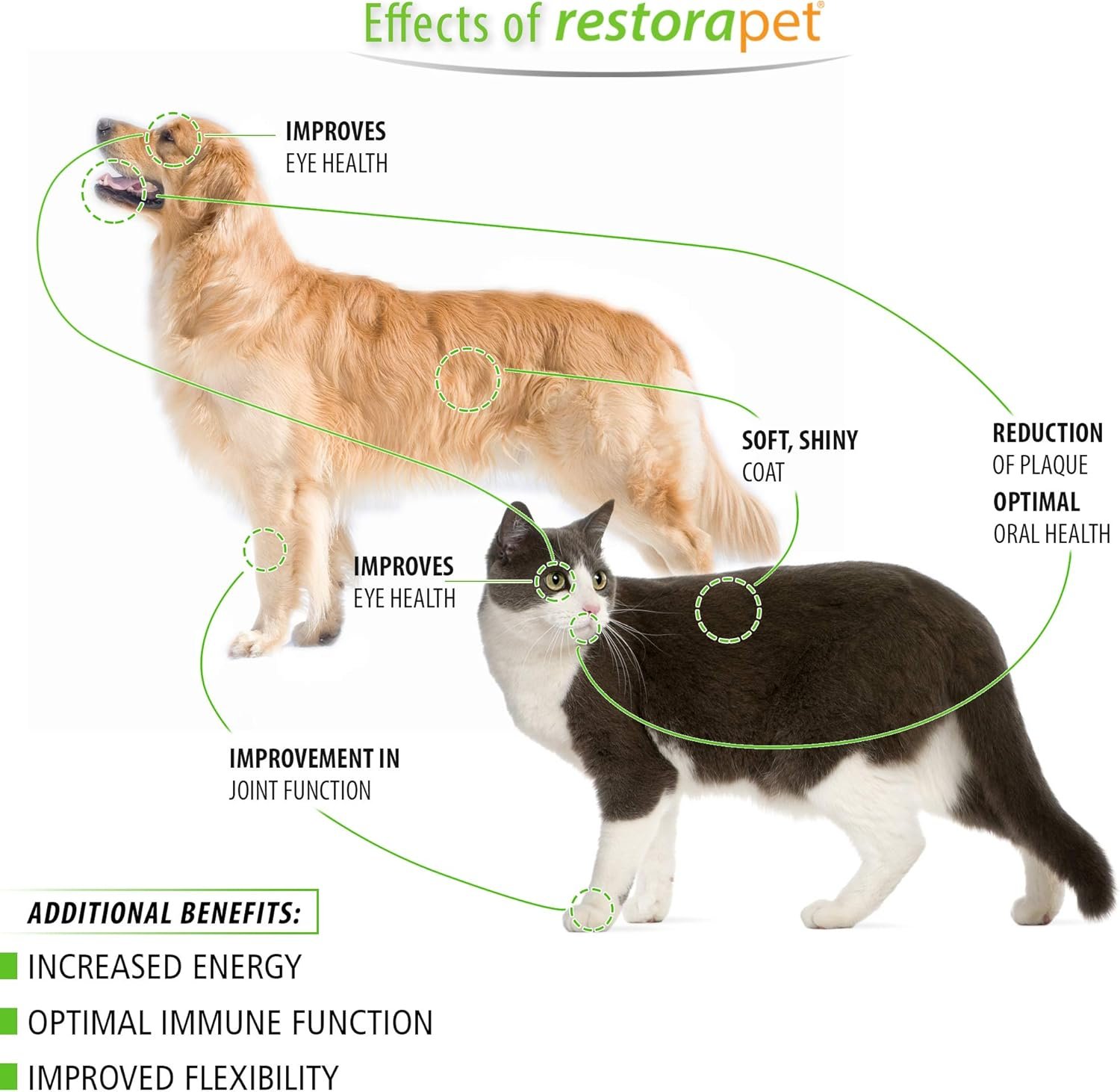 RestoraPet 1-Pack Dog & Cat Beef Liquid Multivitamin | Dog Arthritis Pain Relief | Hip & Joint Vitamins for Dogs - Anti Inflammatory Supplement for Dogs & Cats | Organic & Non-GMO, Vet Approved - Image 4