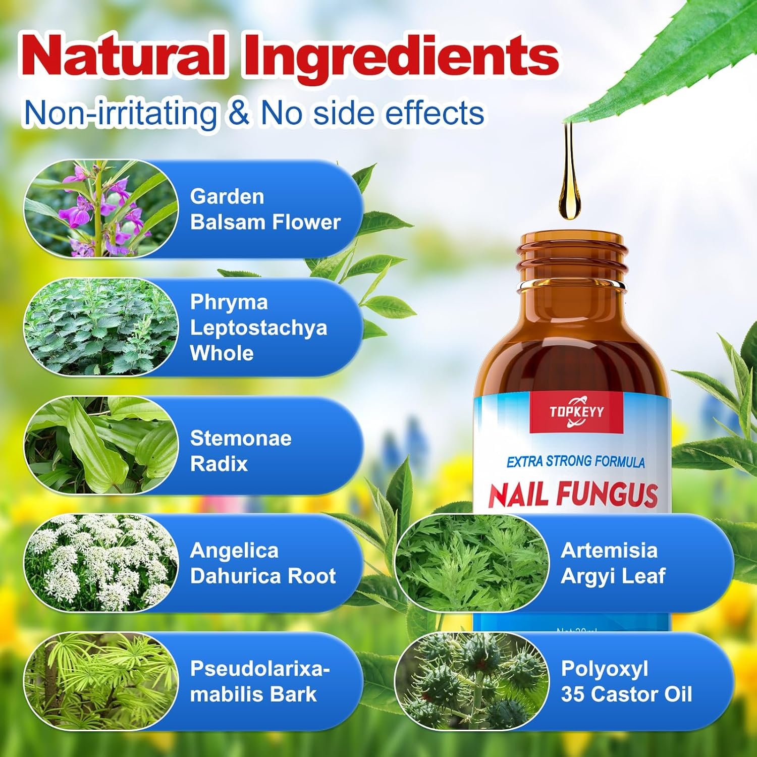 Toenail Fungus Treatment, Extra Strength Nail Fungus Remover, Toe Fingernail Repair Liquid Solution Fast Acting for Woman and Man - 30mL(1 fl oz) - Image 5