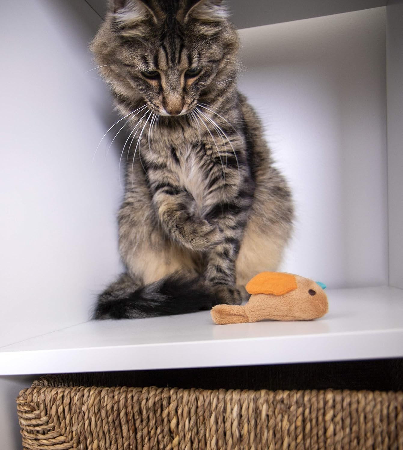 SmartyKat Chickadee Chirp Electronic Sound Cat Toy, Contains Catnip, Battery Powered - Light Brown, One Size - Image 9