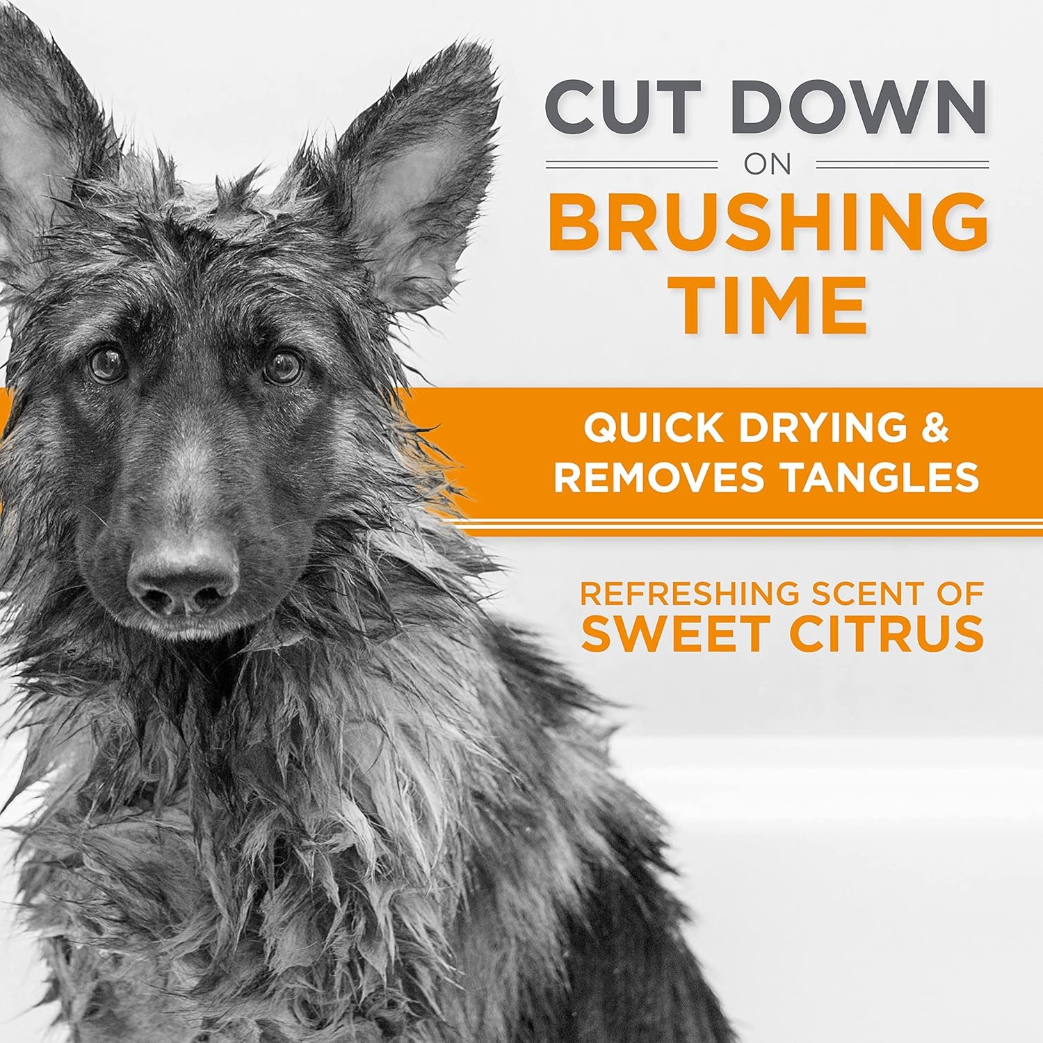 TropiClean Perfect Fur Dog Shampoo for Shedding Control & Deep Conditioning for Breeds with Thick Double Coats | 16 oz - Image 6