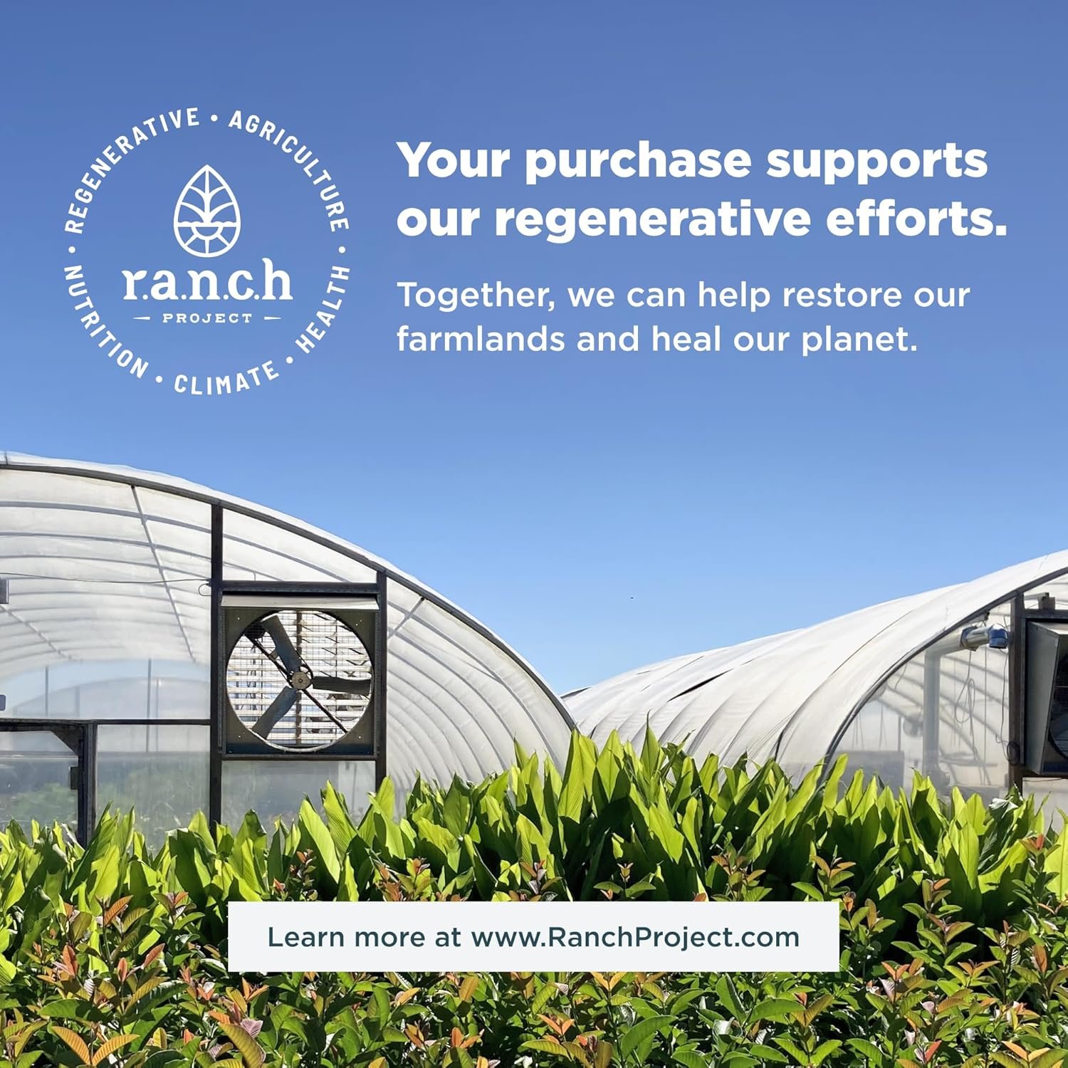 Ancient Nutrition Probiotic for Women, Once Daily Women's Probiotics for Vaginal Health, 30ct, Healthy Yeast Balance for Feminine Care, Made with Cranberry and Apple Cider Vinegar, 25 Billion CFUs - Image 8