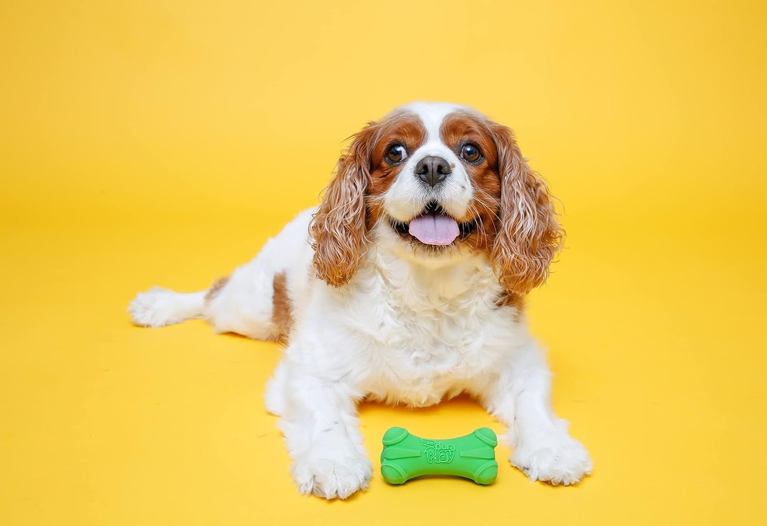 HARTZ Dura Play Soft Dog Bone Toy, Assorted Colors, 1 Ea, for Medium breeds - Image 5