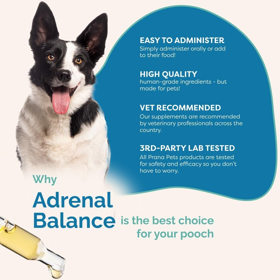 PranaPets Adrenal Balance for Dogs with Cushing’s | Naturally Relieves Symptoms of Cushing's in Dogs | Herbal Formula for Dogs with Cushing’s - Image 6